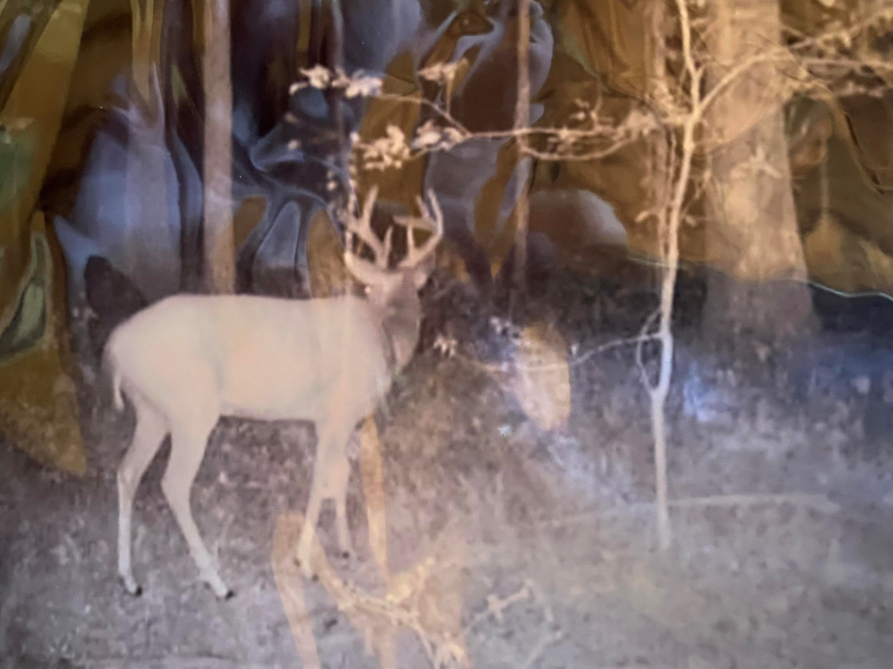 2933  Highway 163 2933 hwy 163 Cherry Valley, AR