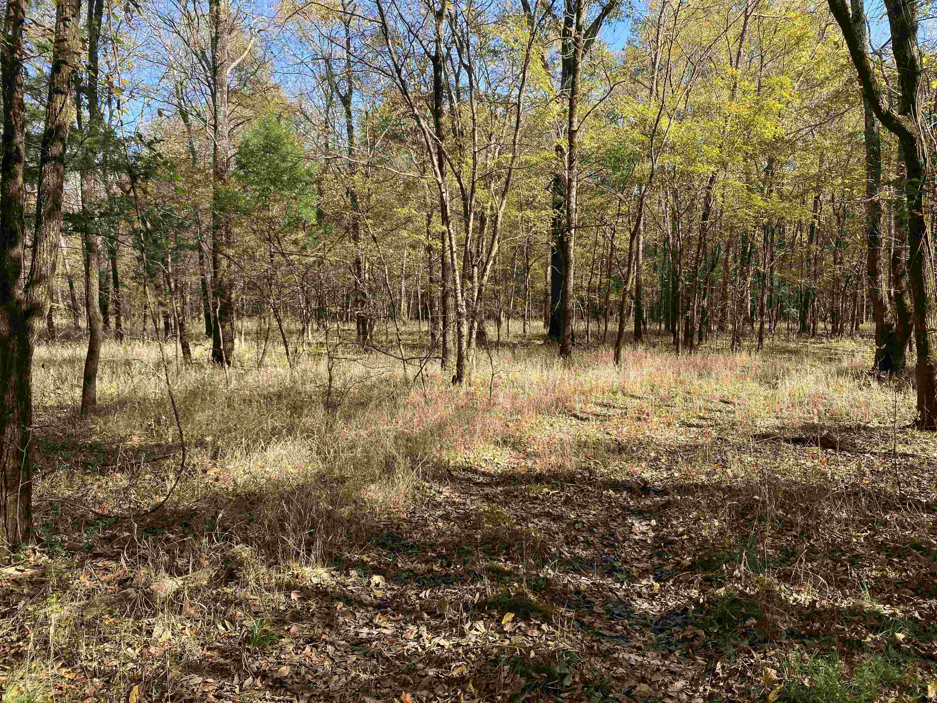 2933  Highway 163 2933 hwy 163 Cherry Valley, AR
