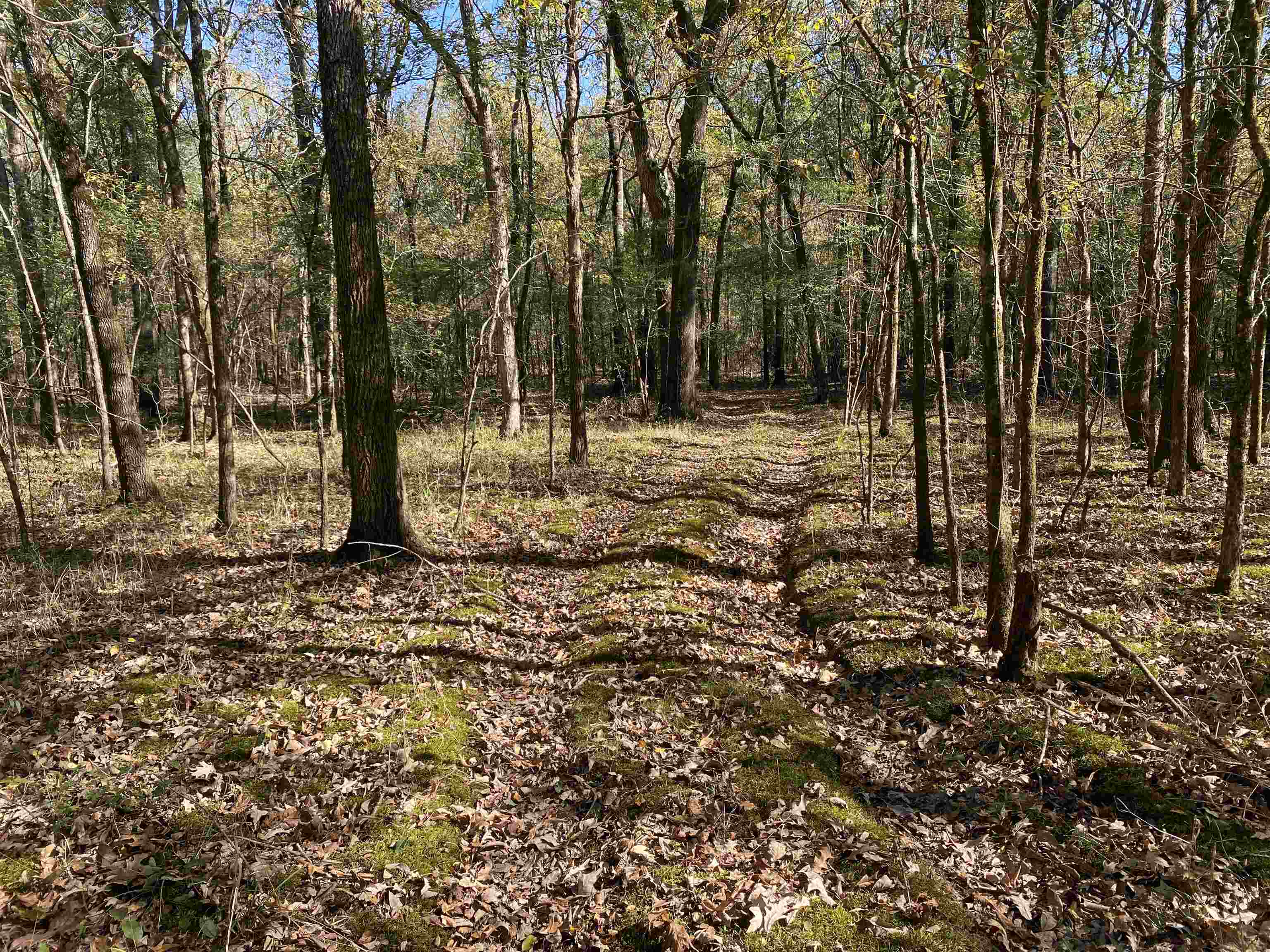 2933  Highway 163 2933 hwy 163 Cherry Valley, AR