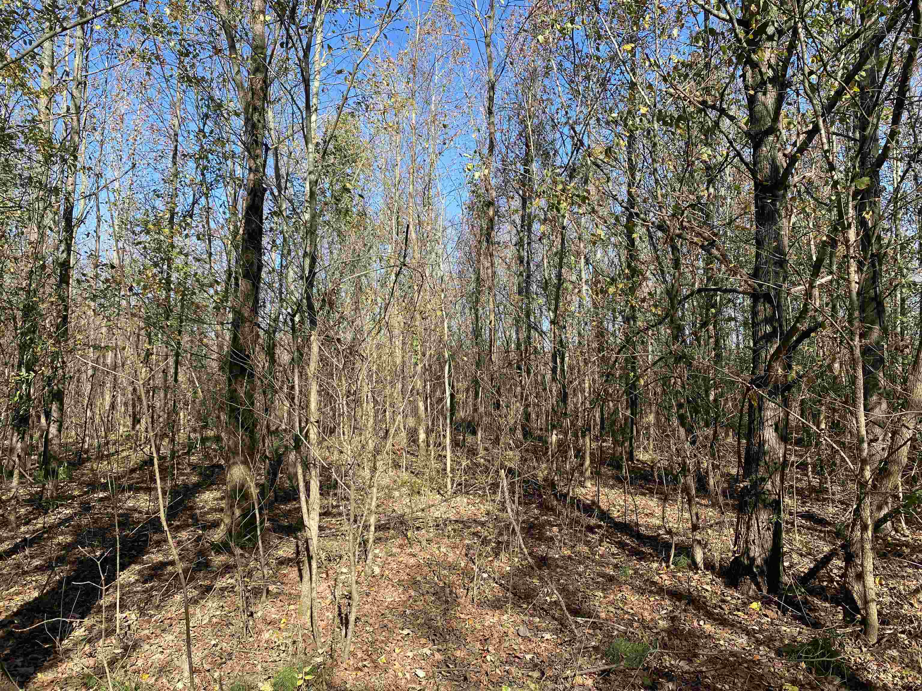2933  Highway 163 2933 hwy 163 Cherry Valley, AR