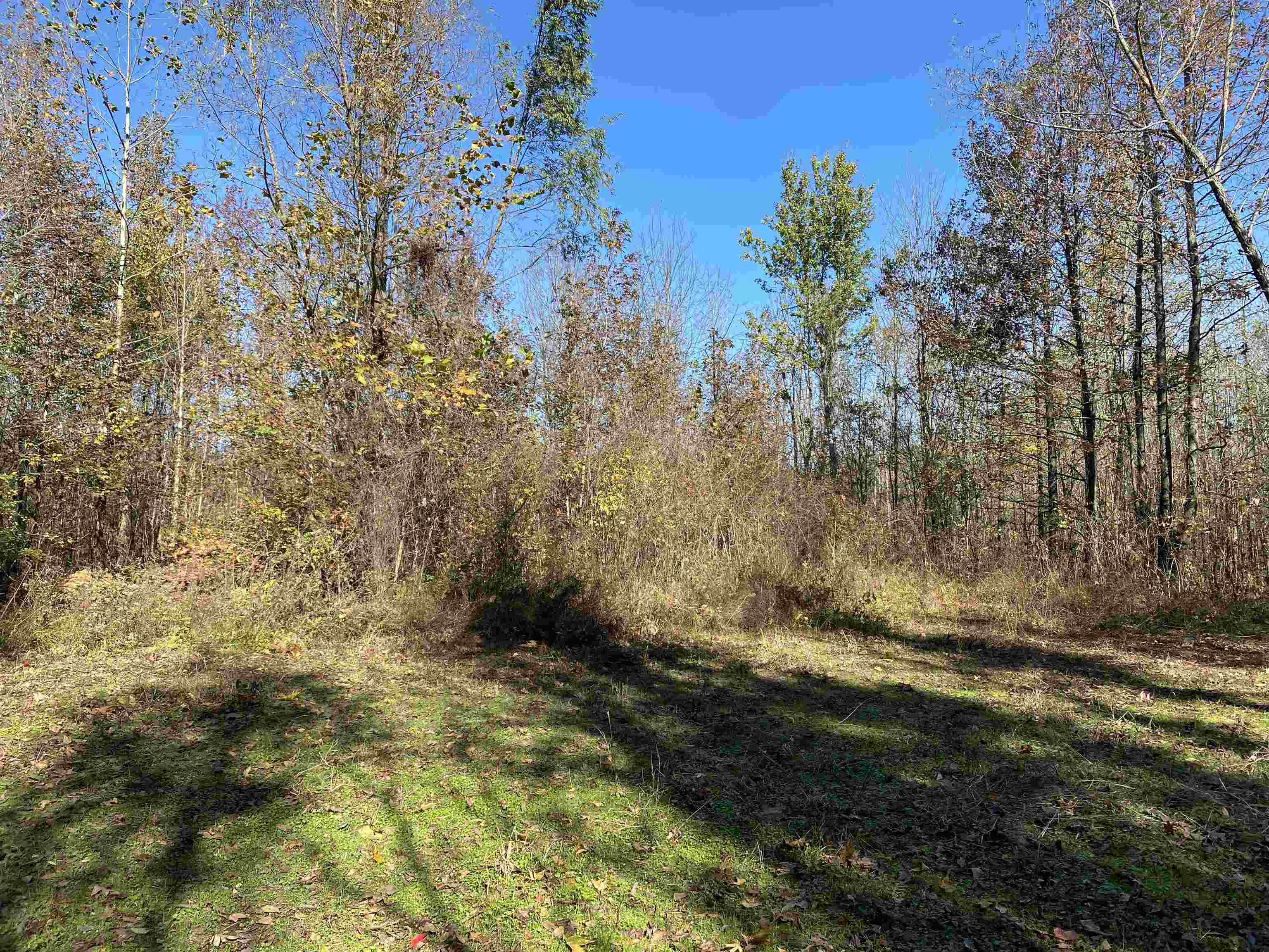 2933  Highway 163 2933 hwy 163 Cherry Valley, AR