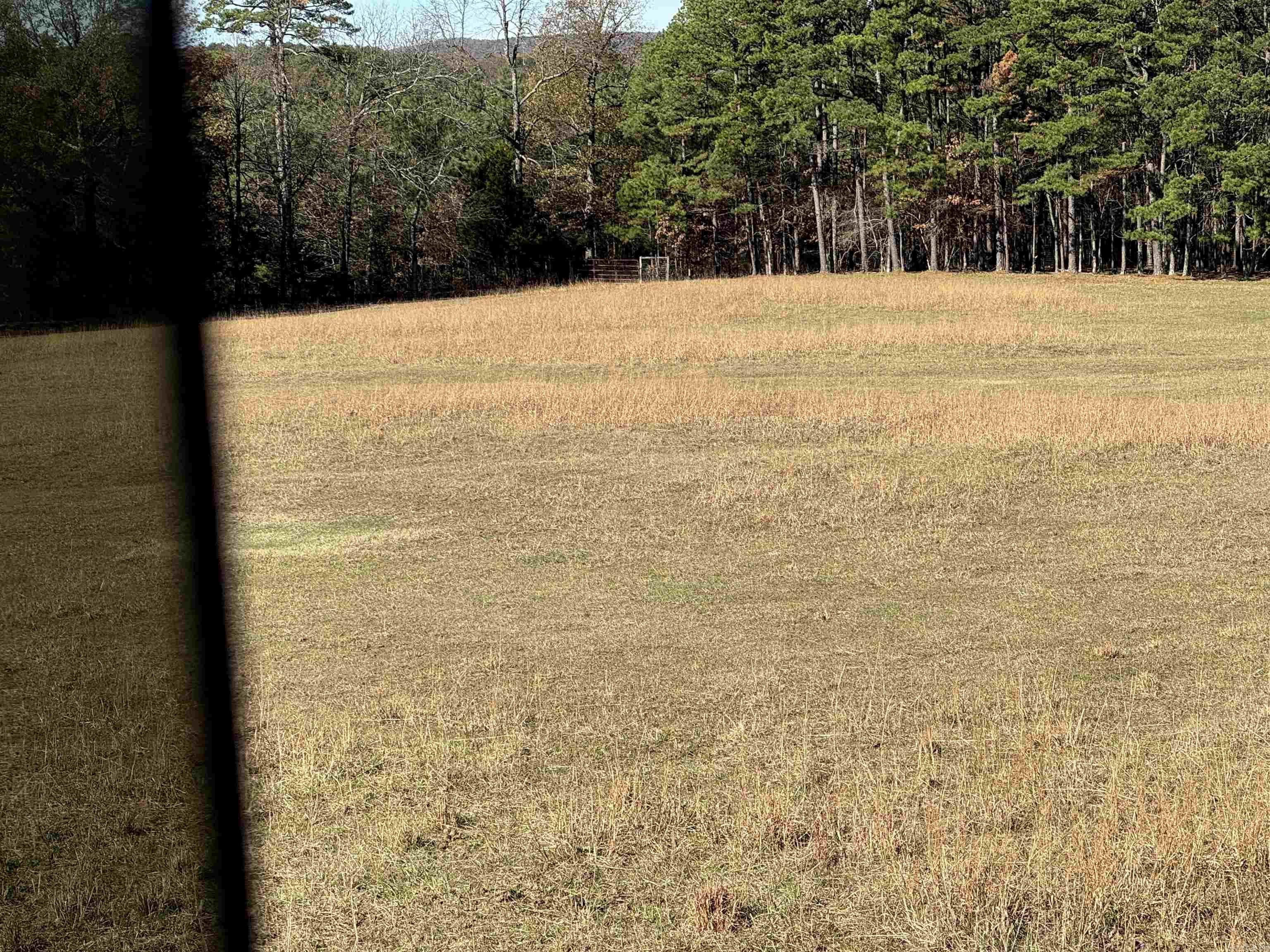00  Calico  Clinton, AR