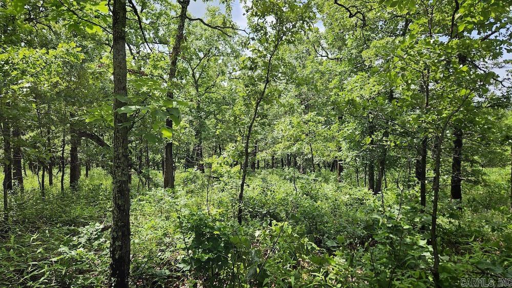   Crow Drive  Marshall, AR