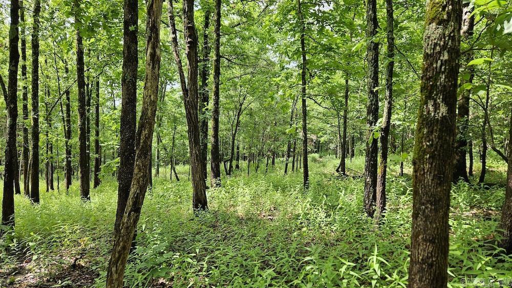   Crow Drive  Marshall, AR