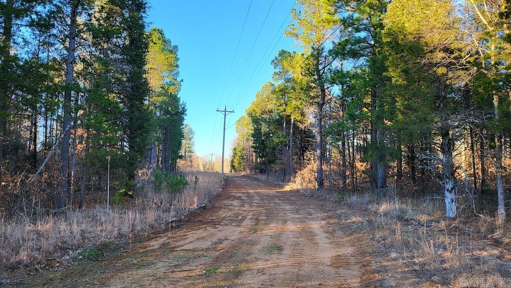   Punkin Flat Road  Marshall, AR