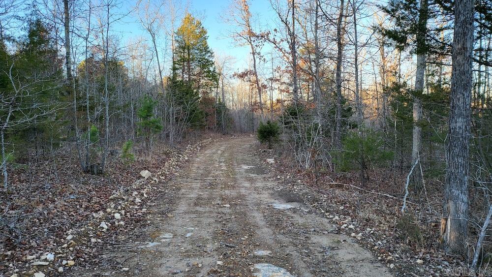  Punkin Flat Road  Marshall, AR