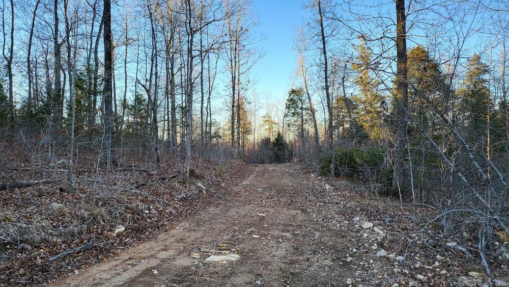   Punkin Flat Road  Marshall, AR