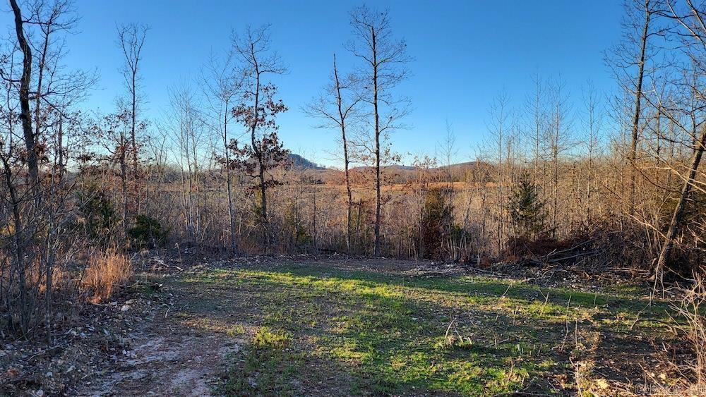   Punkin Flat Road  Marshall, AR