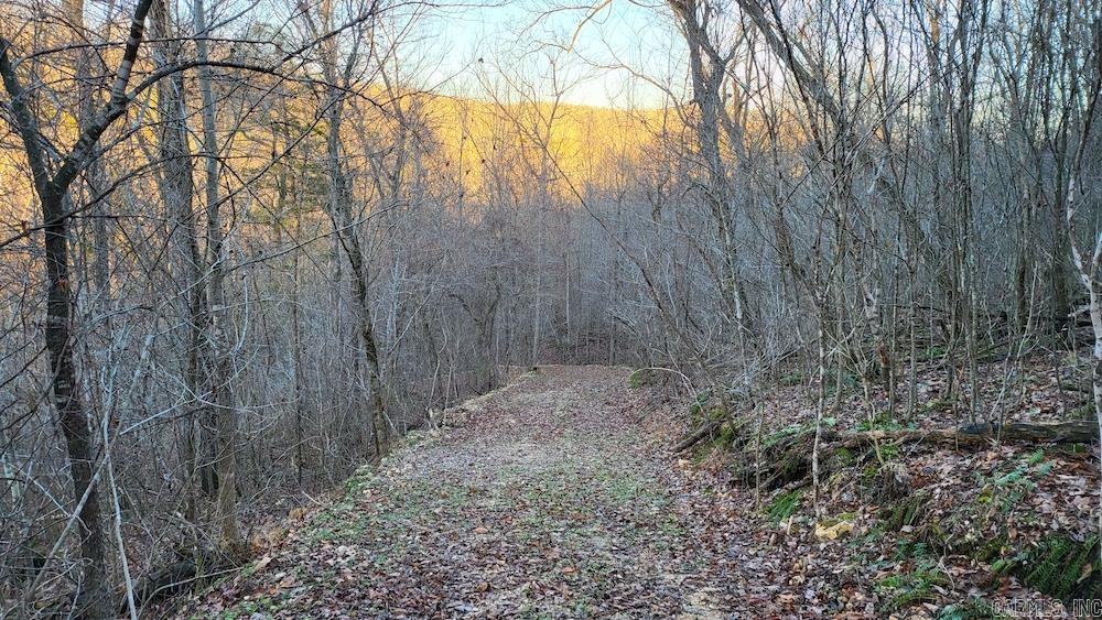   Punkin Flat Road  Marshall, AR
