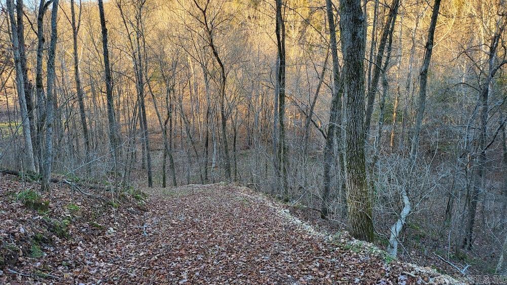   Punkin Flat Road  Marshall, AR