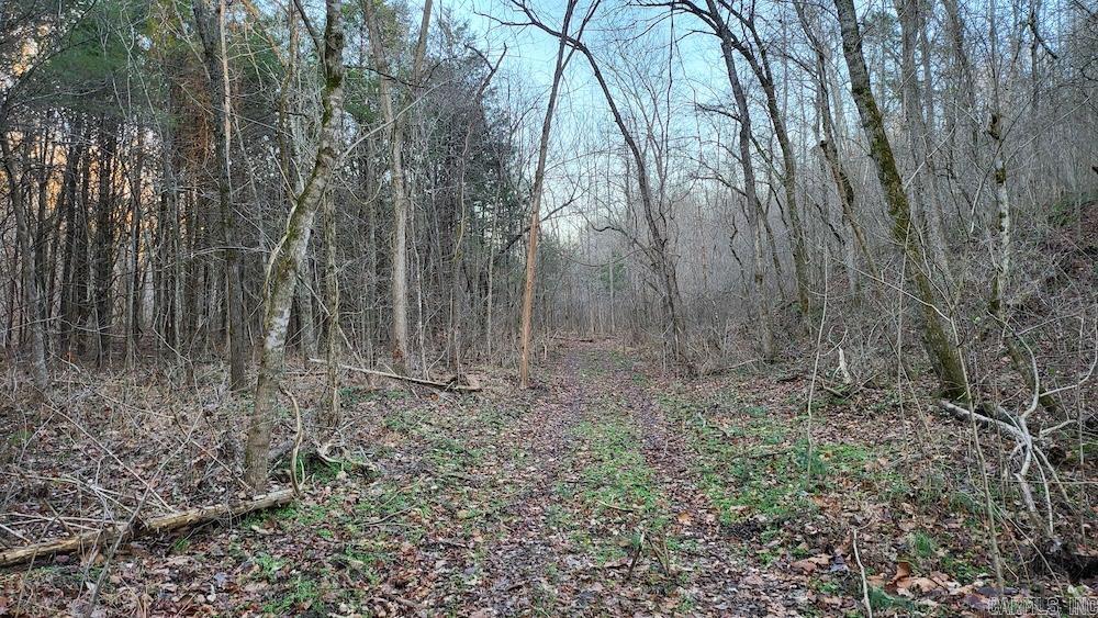   Punkin Flat Road  Marshall, AR