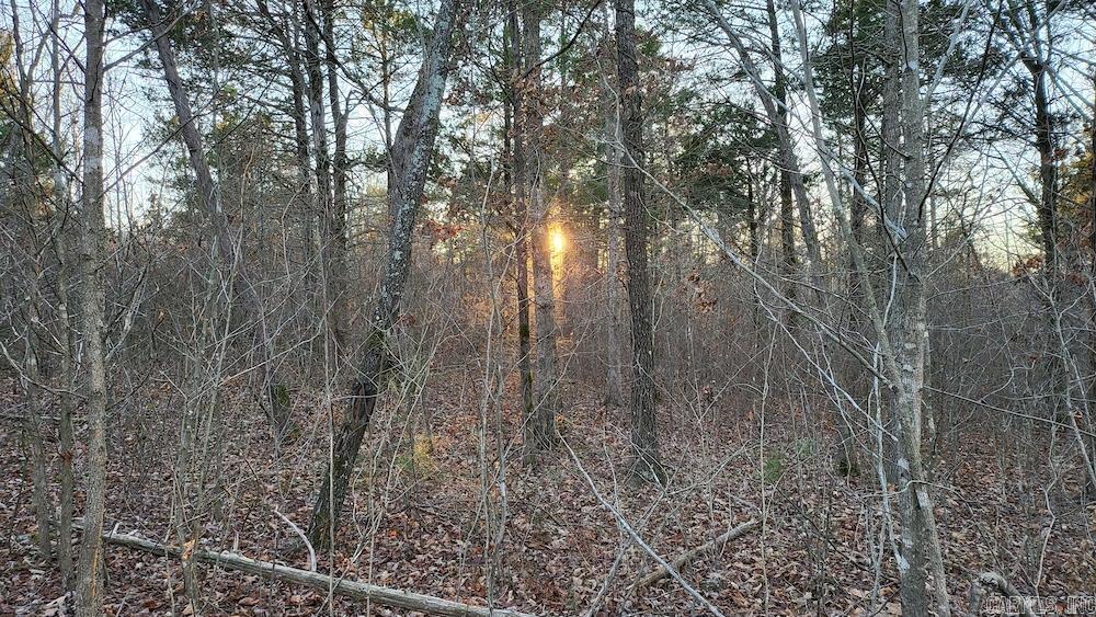   Punkin Flat Road  Marshall, AR