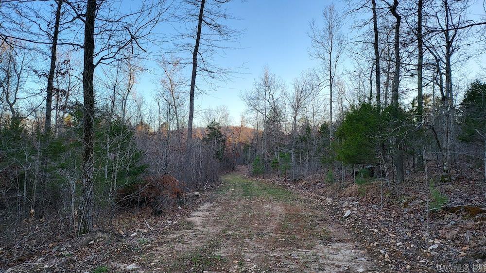   Punkin Flat Road  Marshall, AR