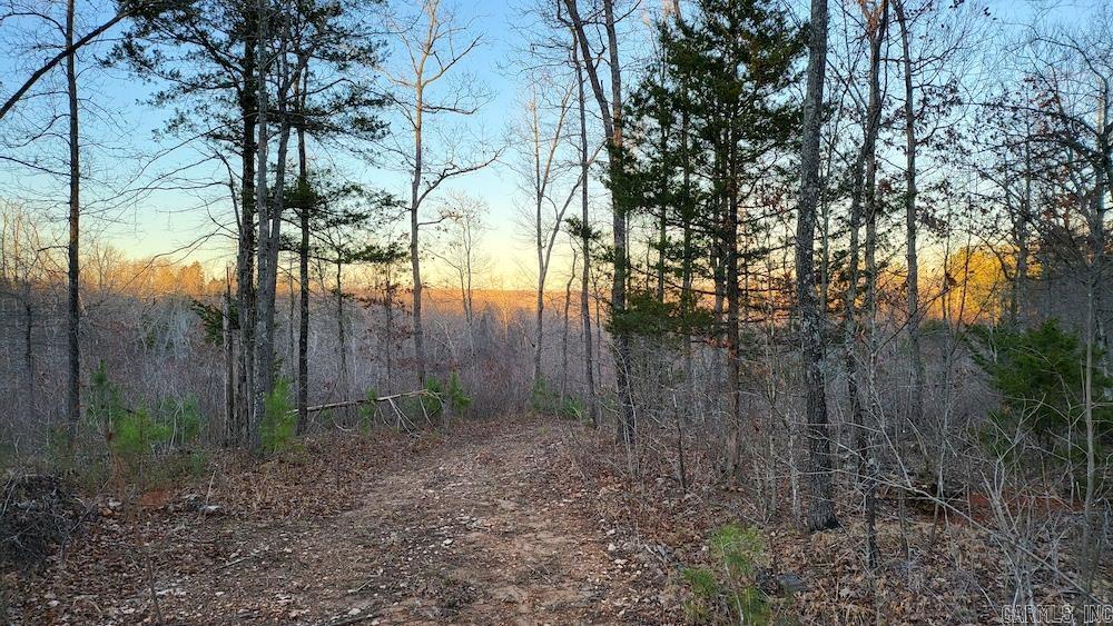  Punkin Flat Road  Marshall, AR