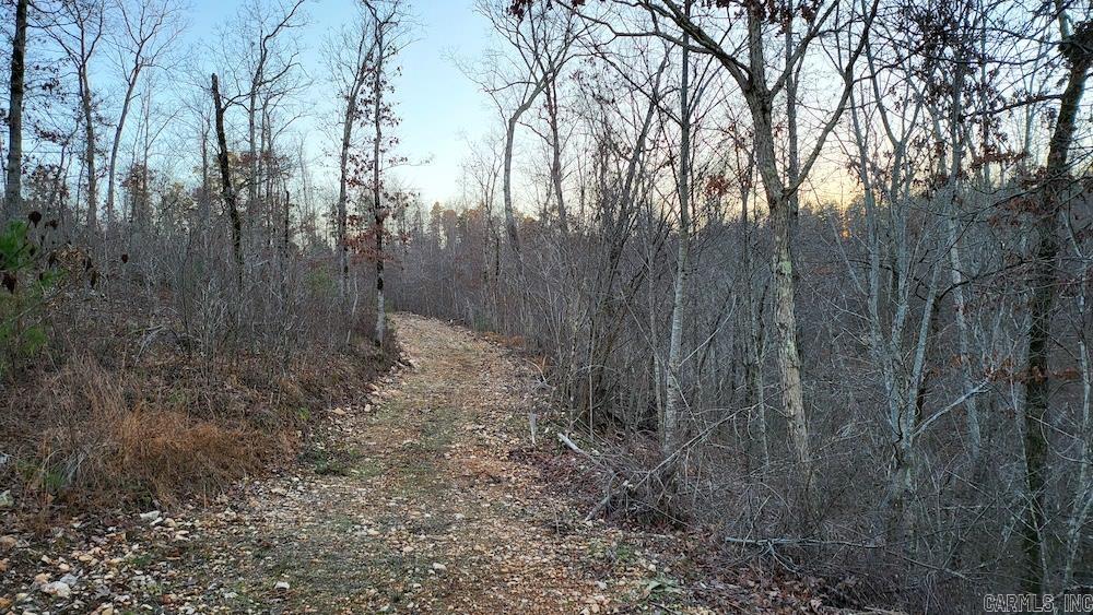   Punkin Flat Road  Marshall, AR