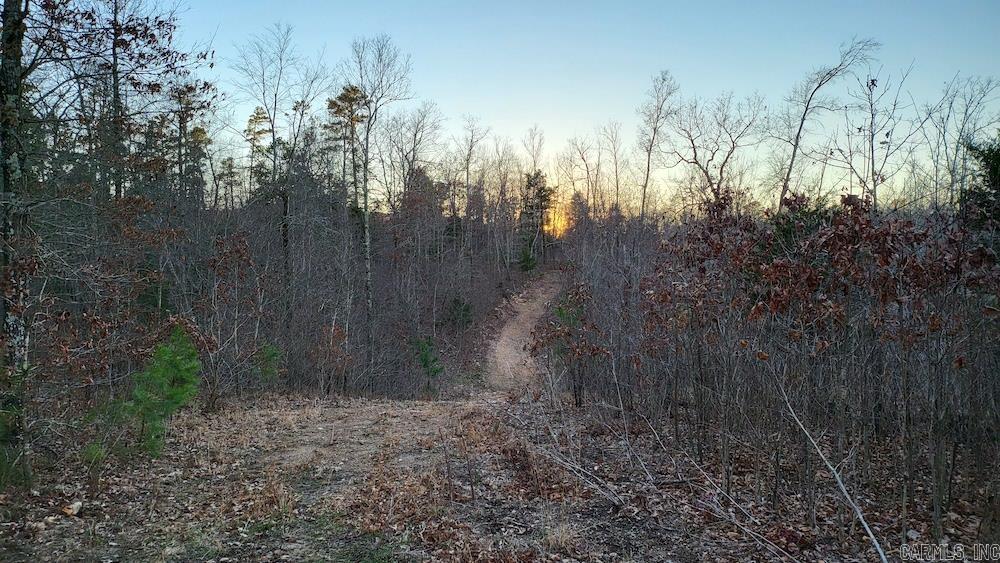   Punkin Flat Road  Marshall, AR