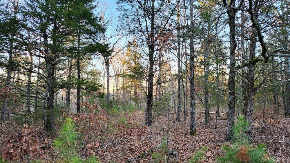   Punkin Flat Road  Marshall, AR