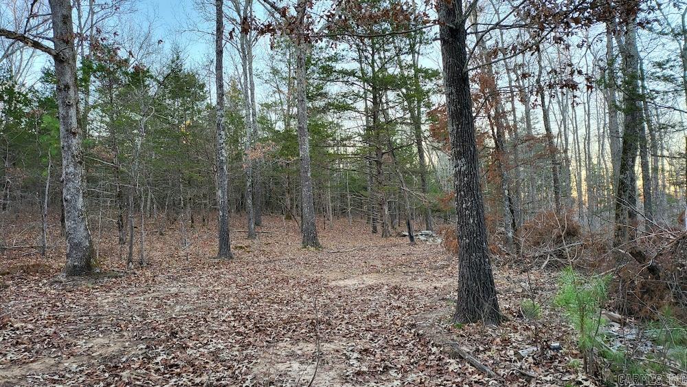   Punkin Flat Road  Marshall, AR