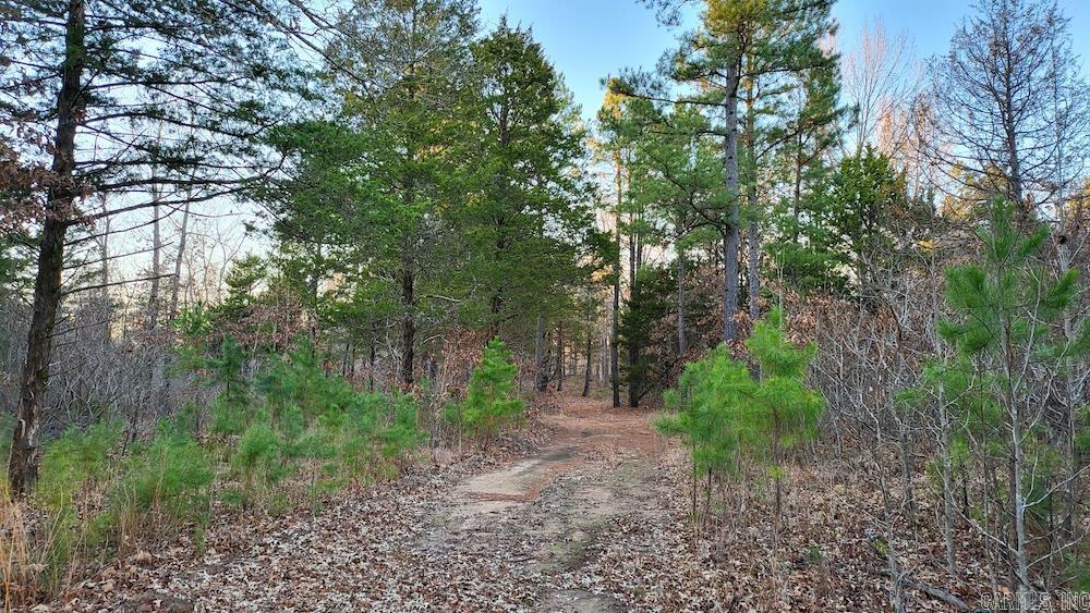   Punkin Flat Road  Marshall, AR