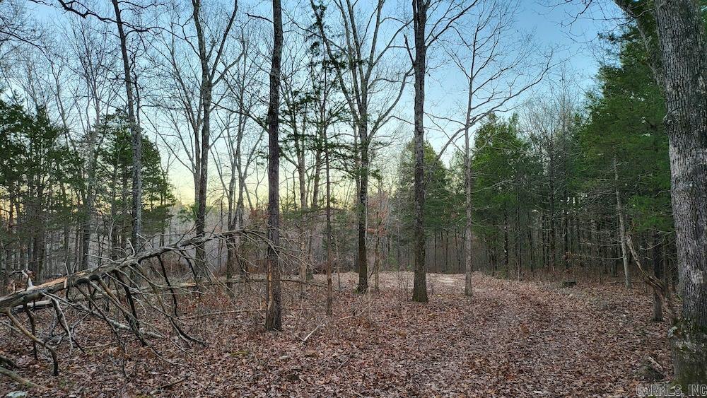   Punkin Flat Road  Marshall, AR