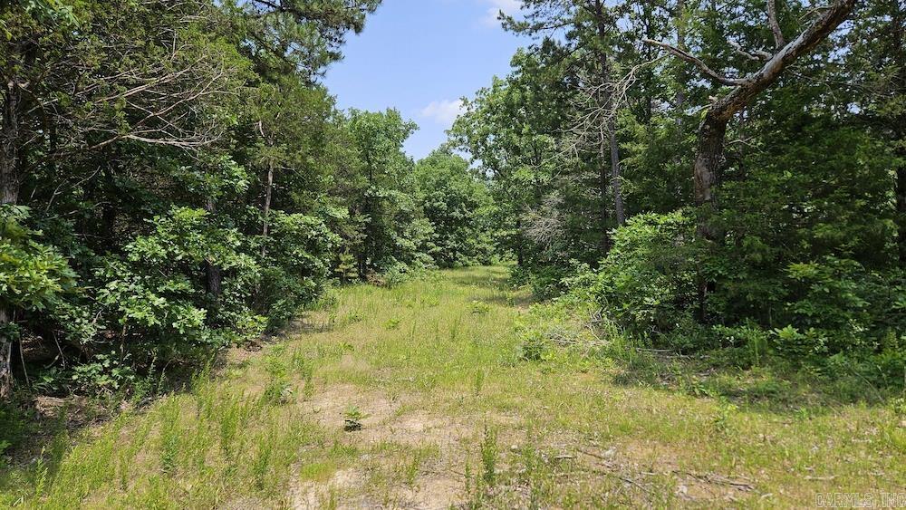   Punkin Flat Road  Marshall, AR