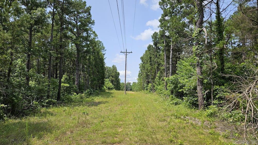   Punkin Flat Road  Marshall, AR