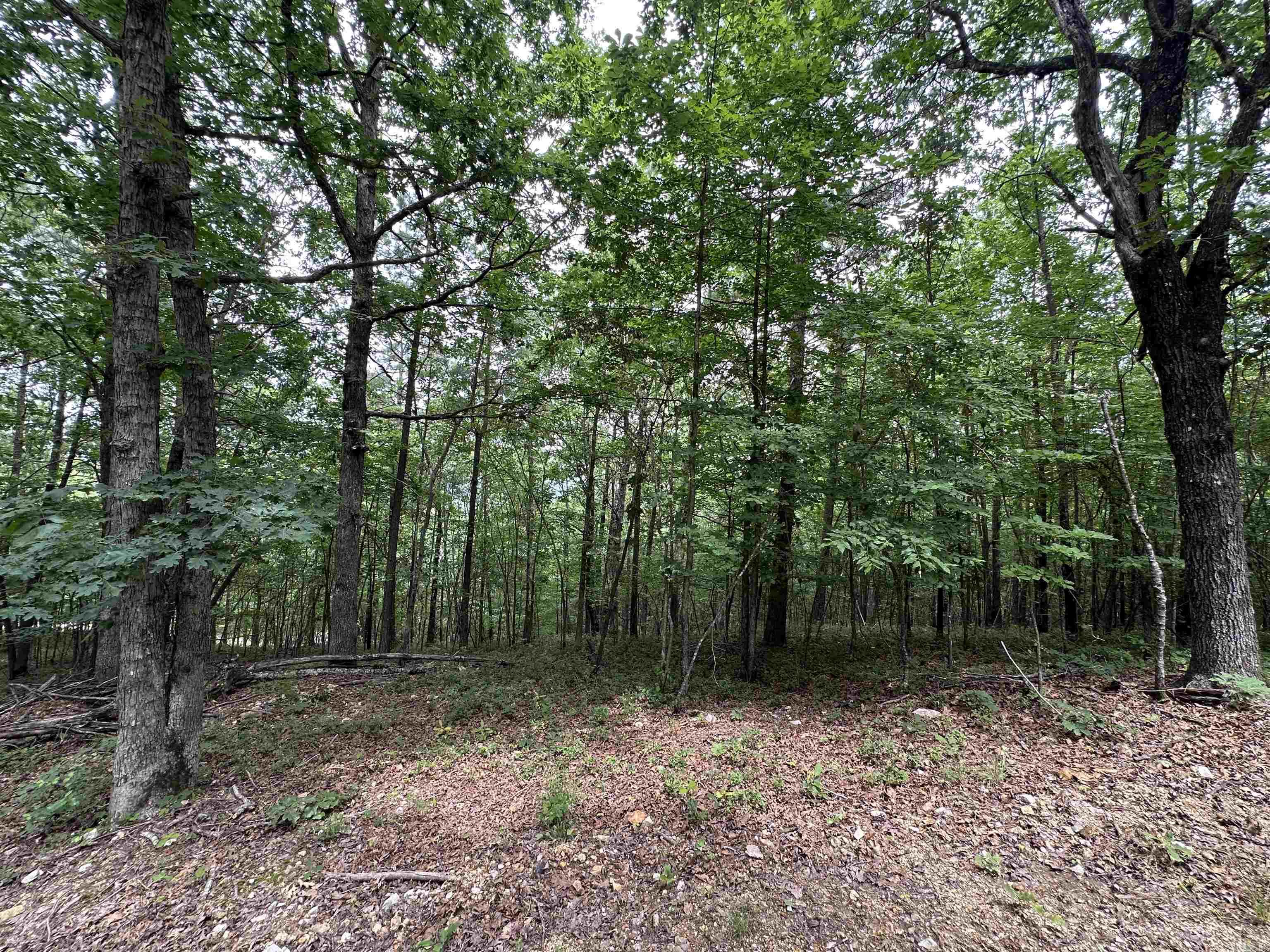 TBD  Timber Ln  Mena, AR