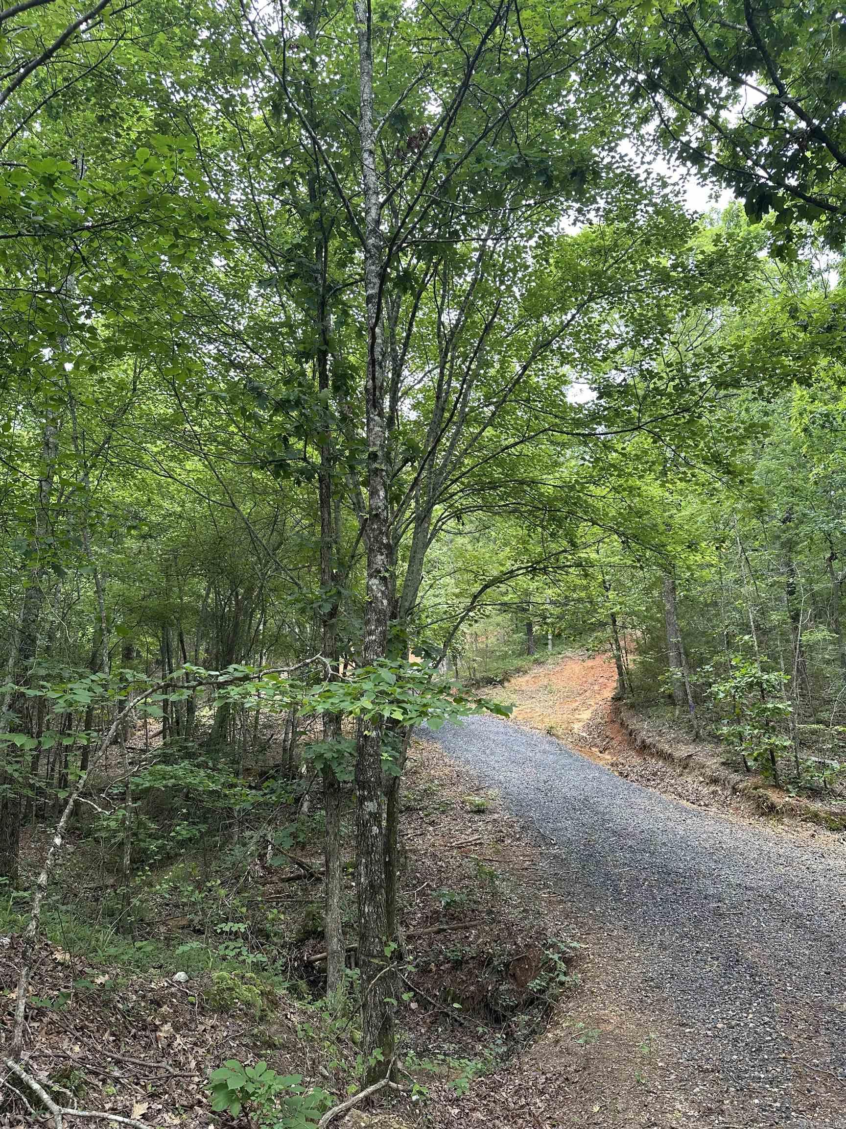 TBD  Timber Ln  Mena, AR