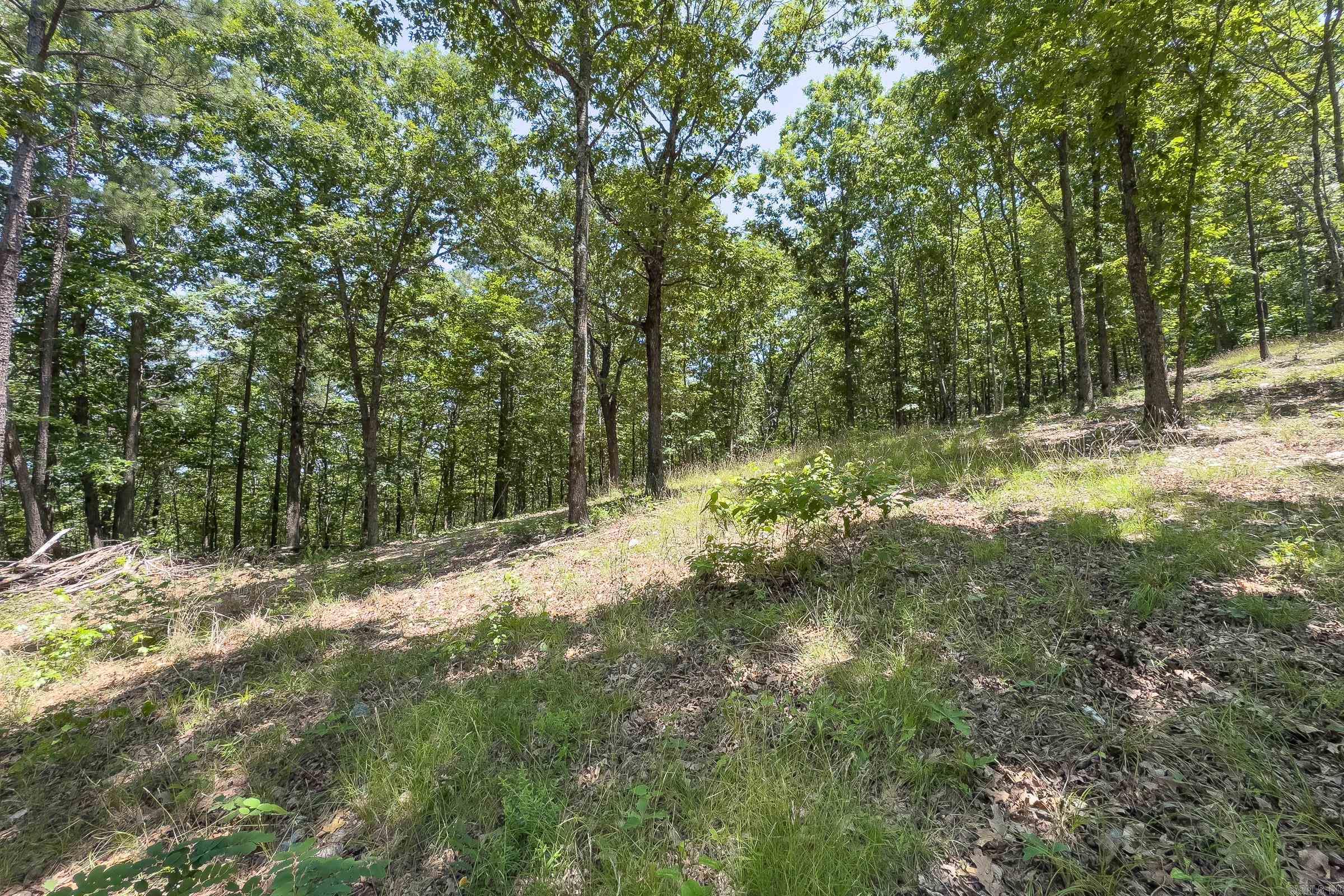 TBD Timber Ln  Mena, AR