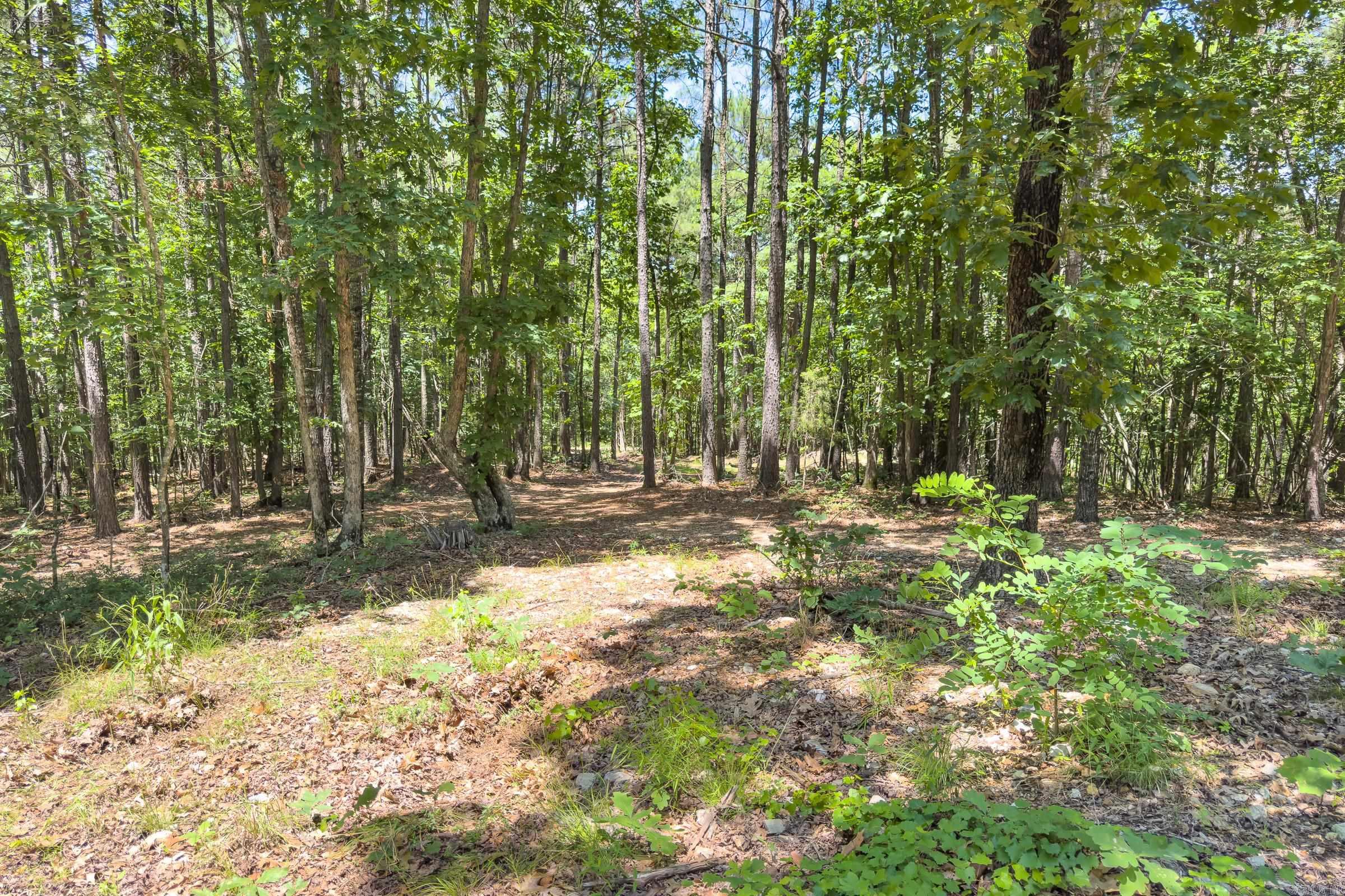 TBD Timber Ln  Mena, AR