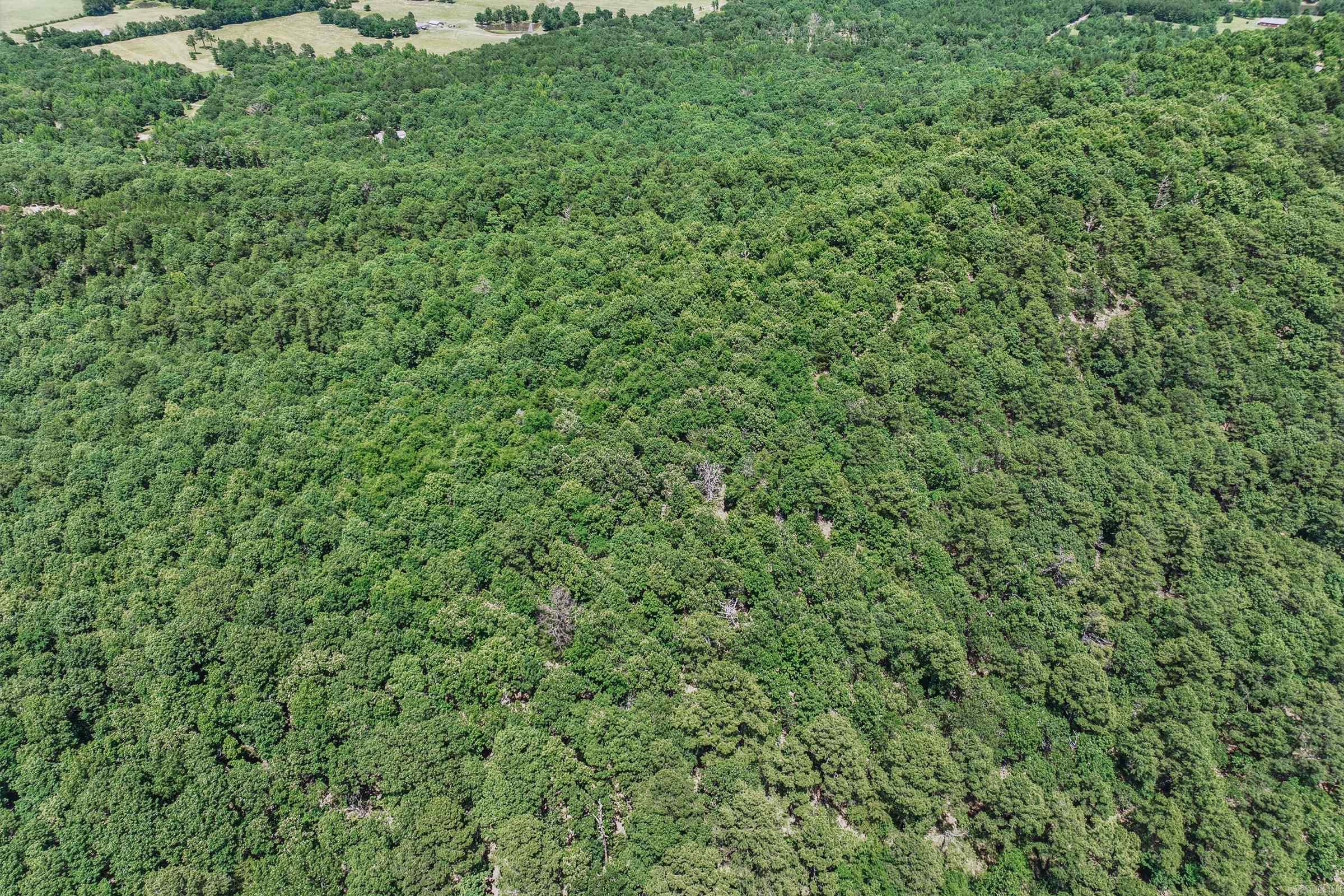 TBD Timber Ln  Mena, AR