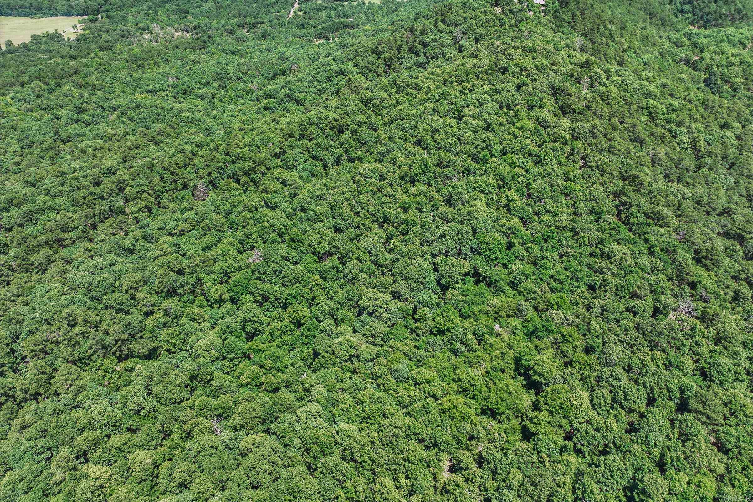 TBD Timber Ln  Mena, AR