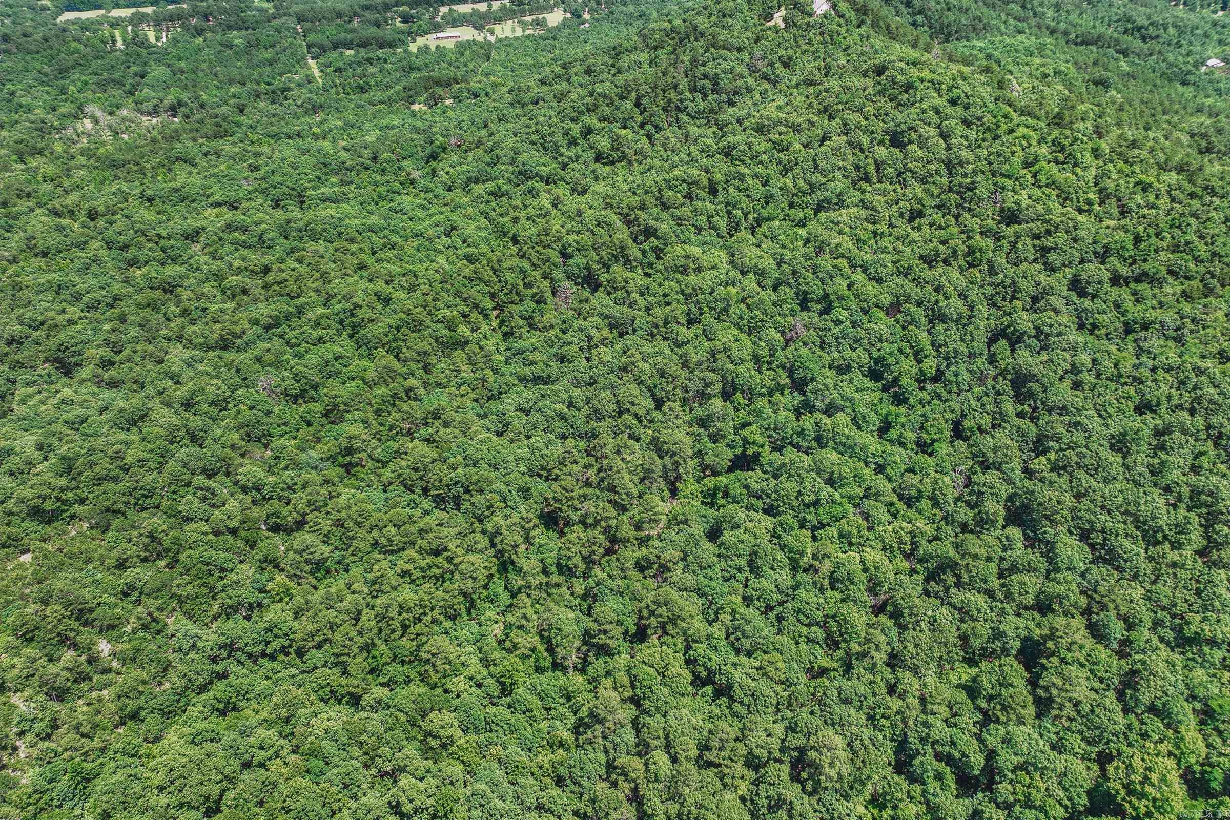 TBD Timber Ln  Mena, AR