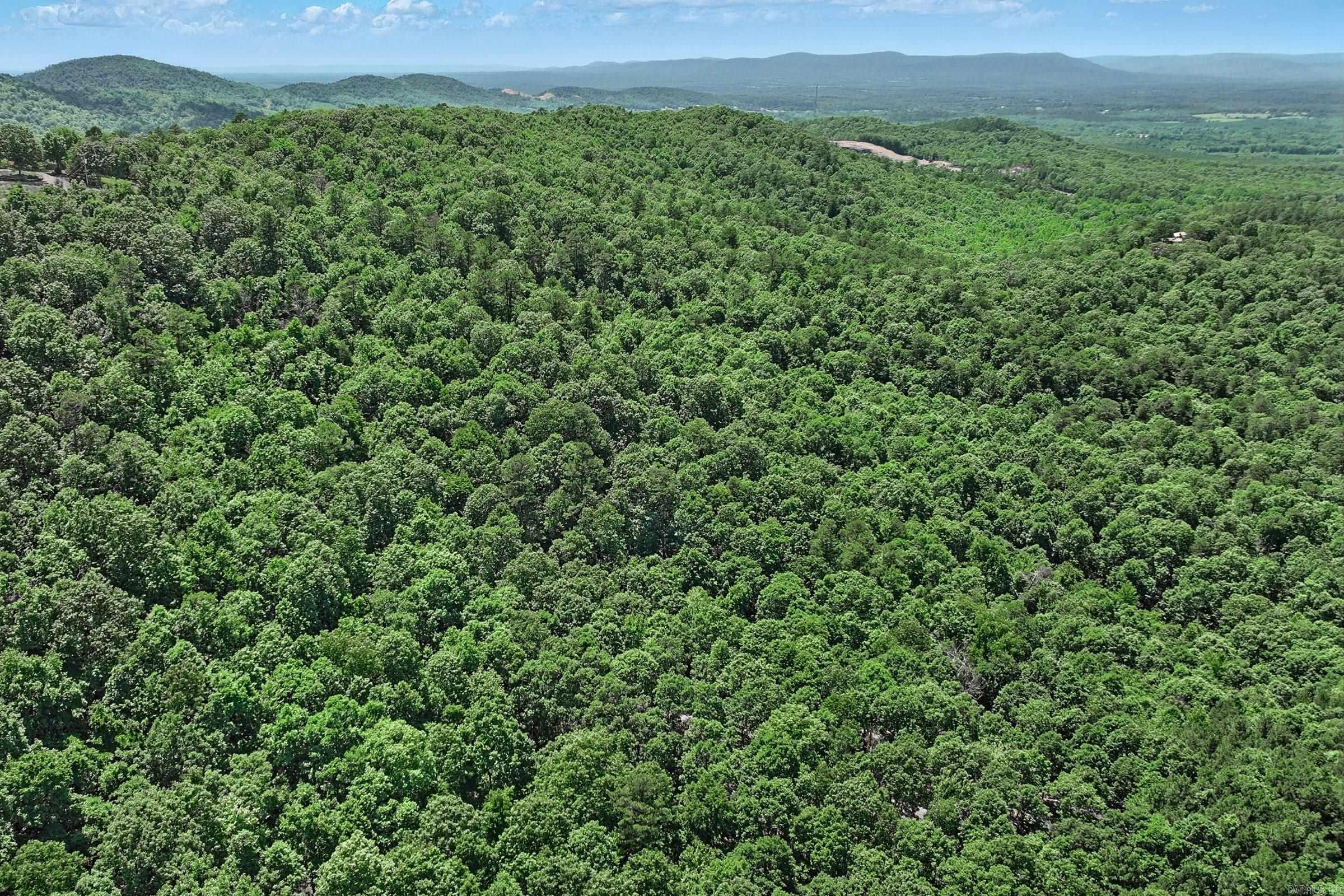 TBD Timber Ln  Mena, AR