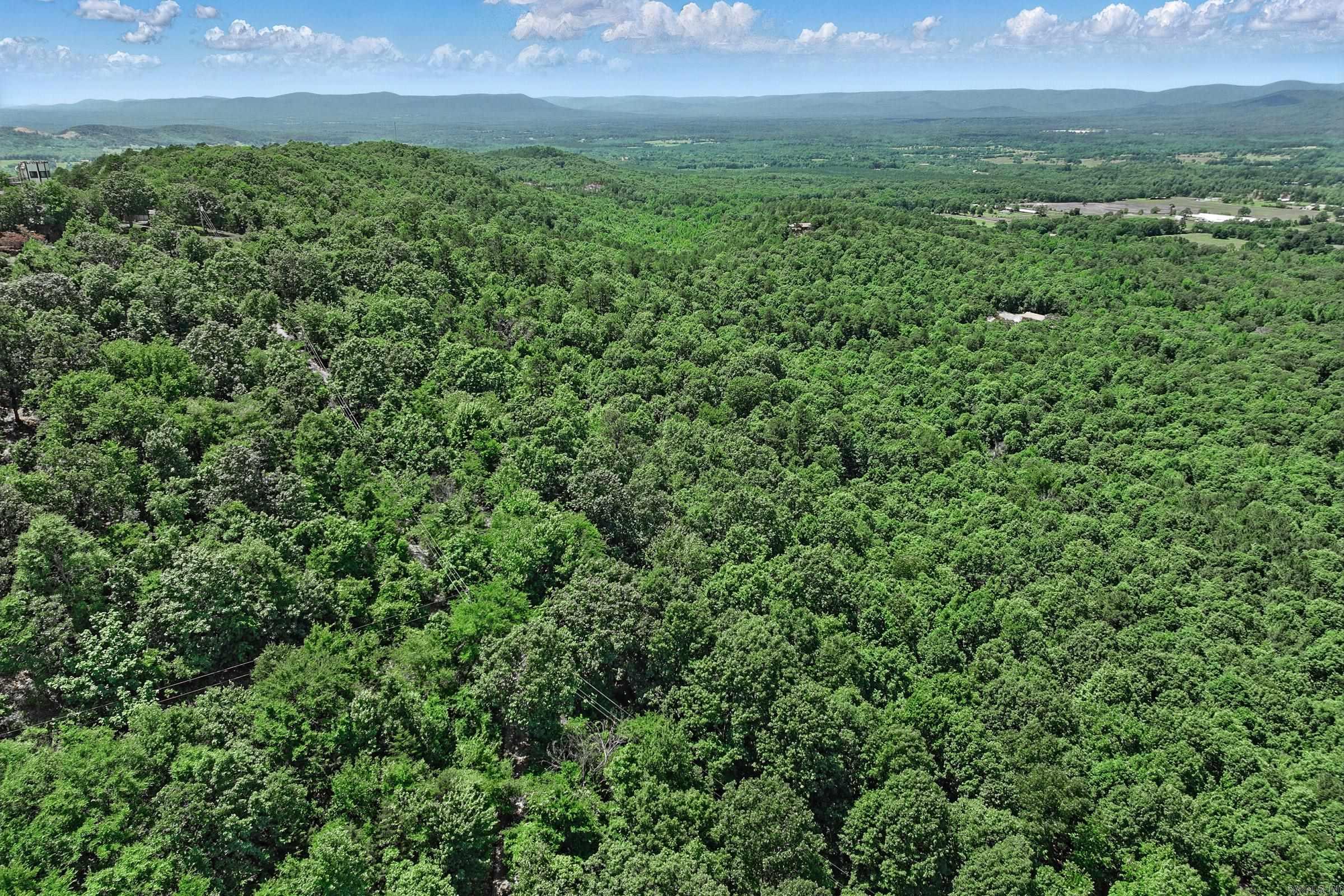TBD Timber Ln  Mena, AR