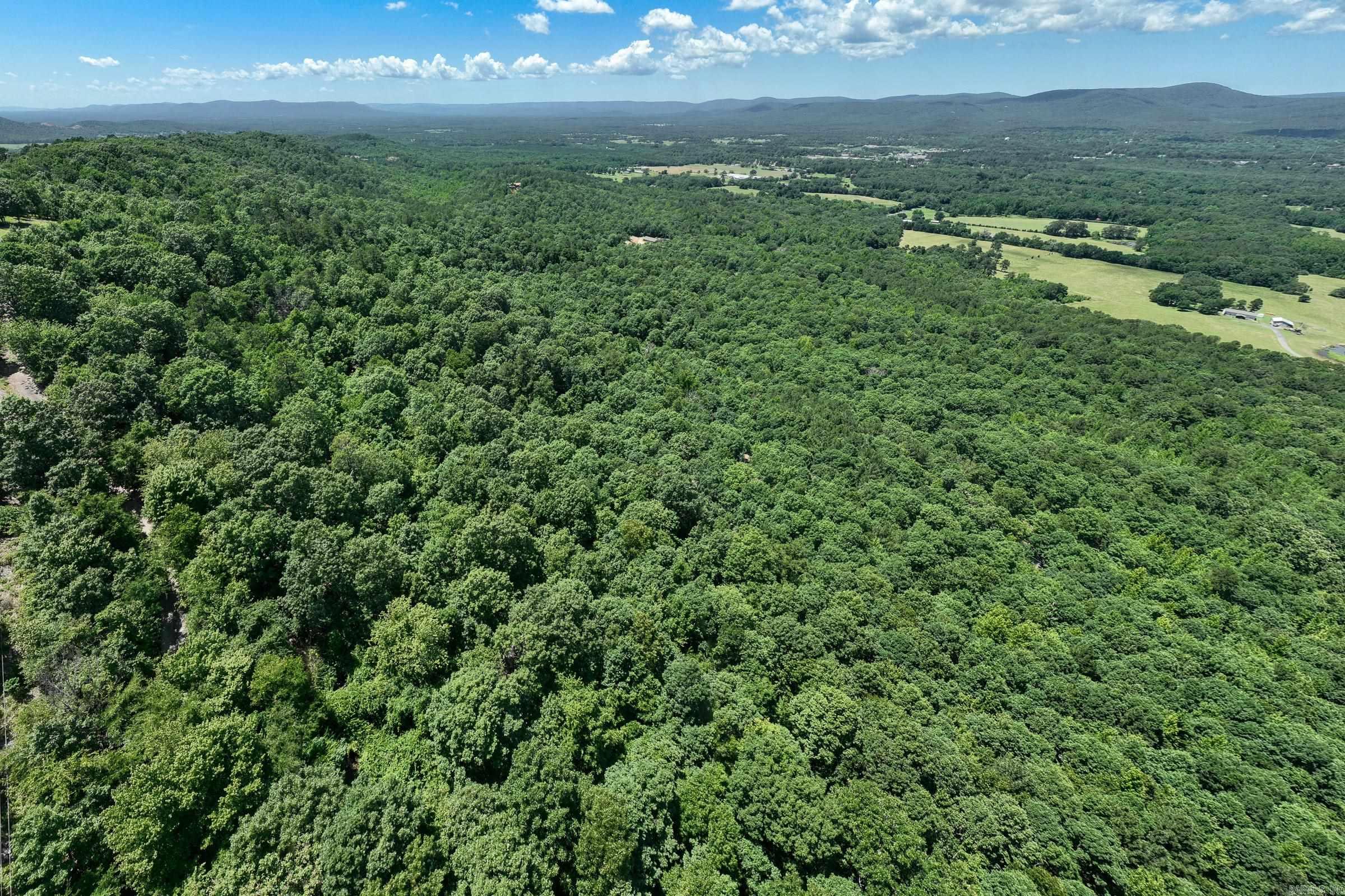 TBD Timber Ln  Mena, AR