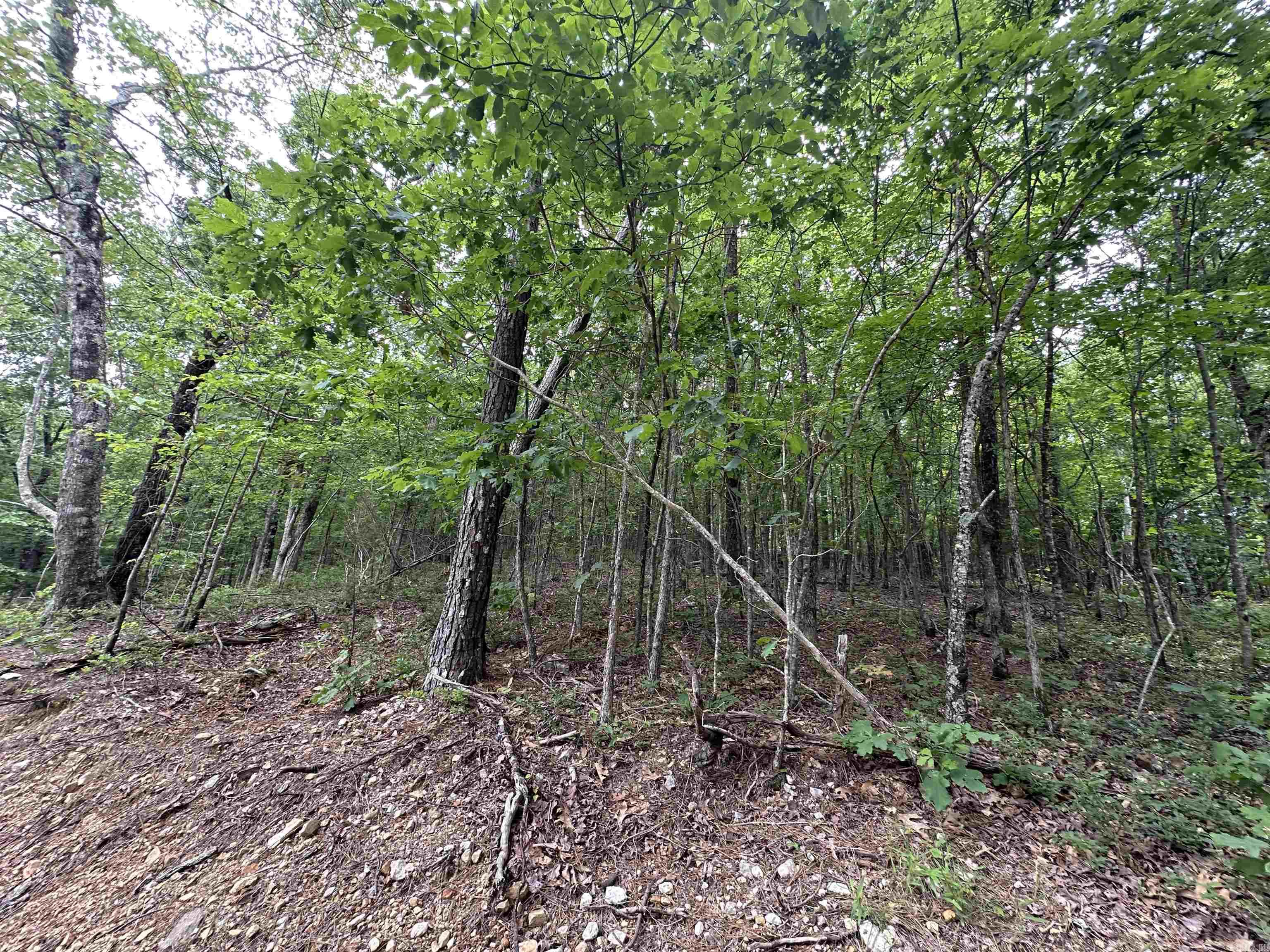 TBD  Timber Ln  Mena, AR