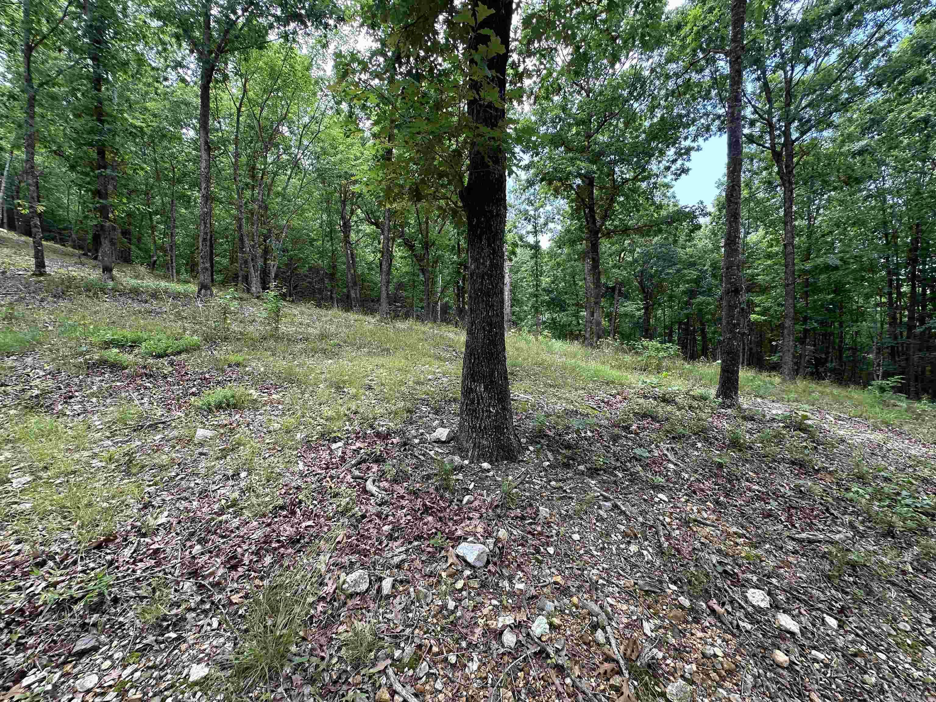 TBD  Timber Ln  Mena, AR