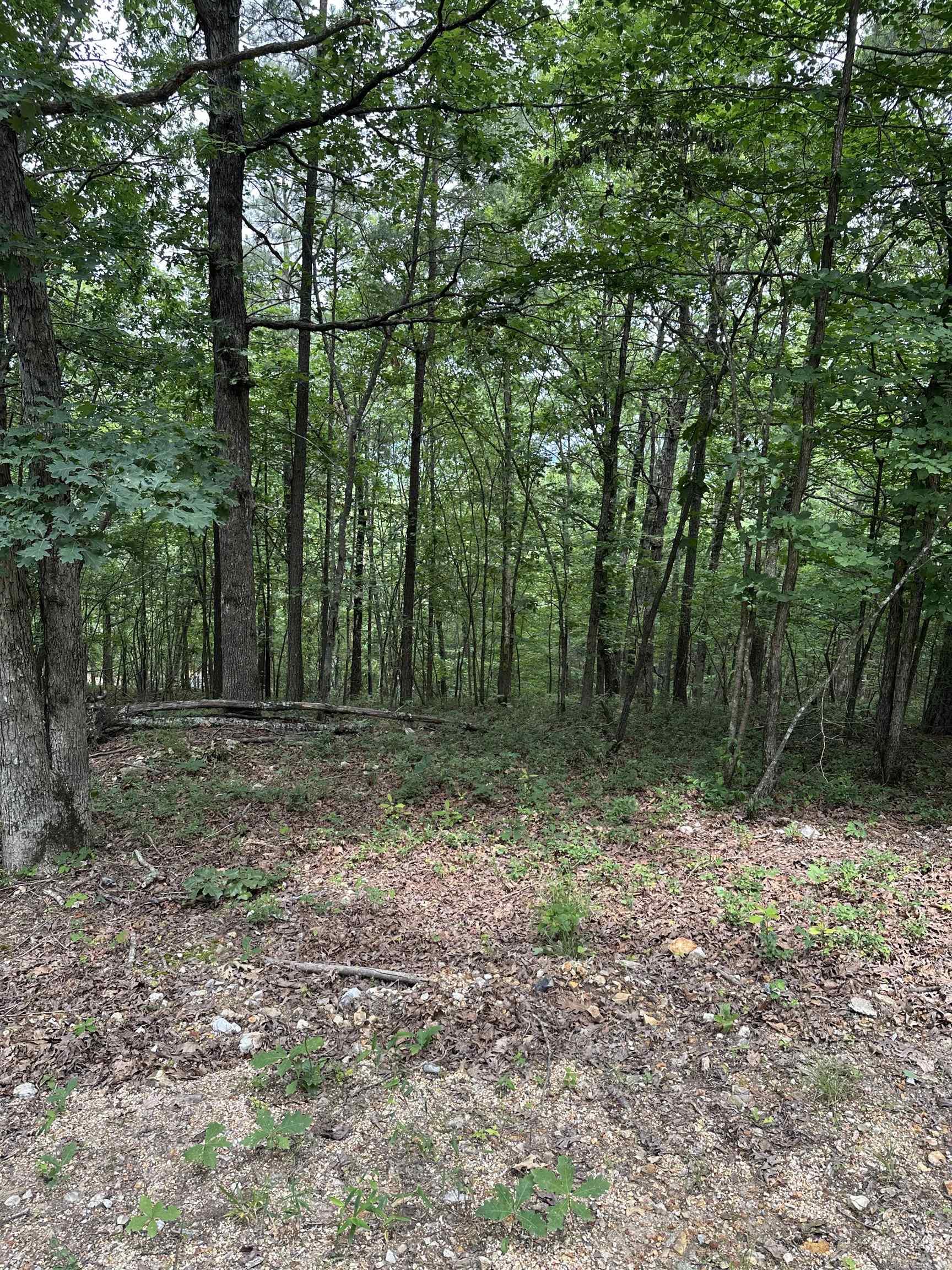 TBD  Timber Ln  Mena, AR