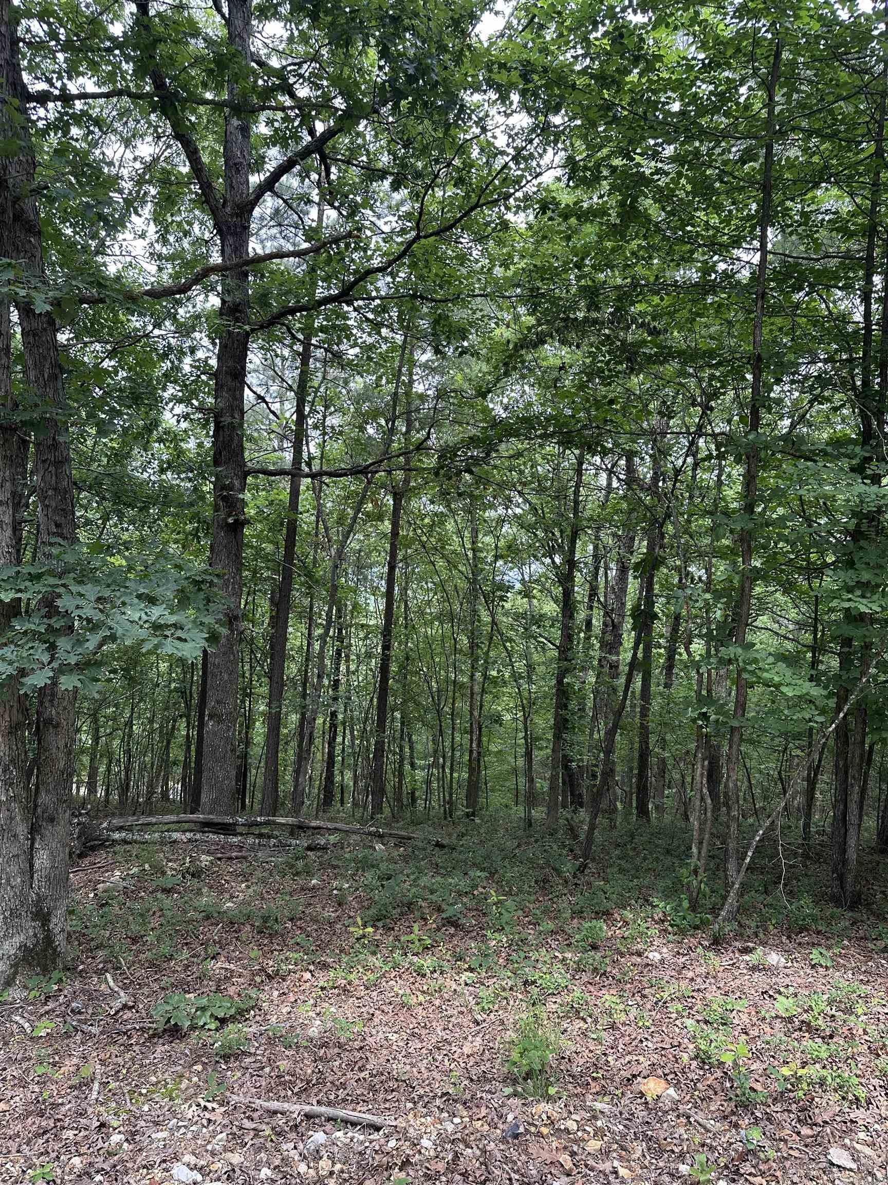 TBD  Timber Ln  Mena, AR