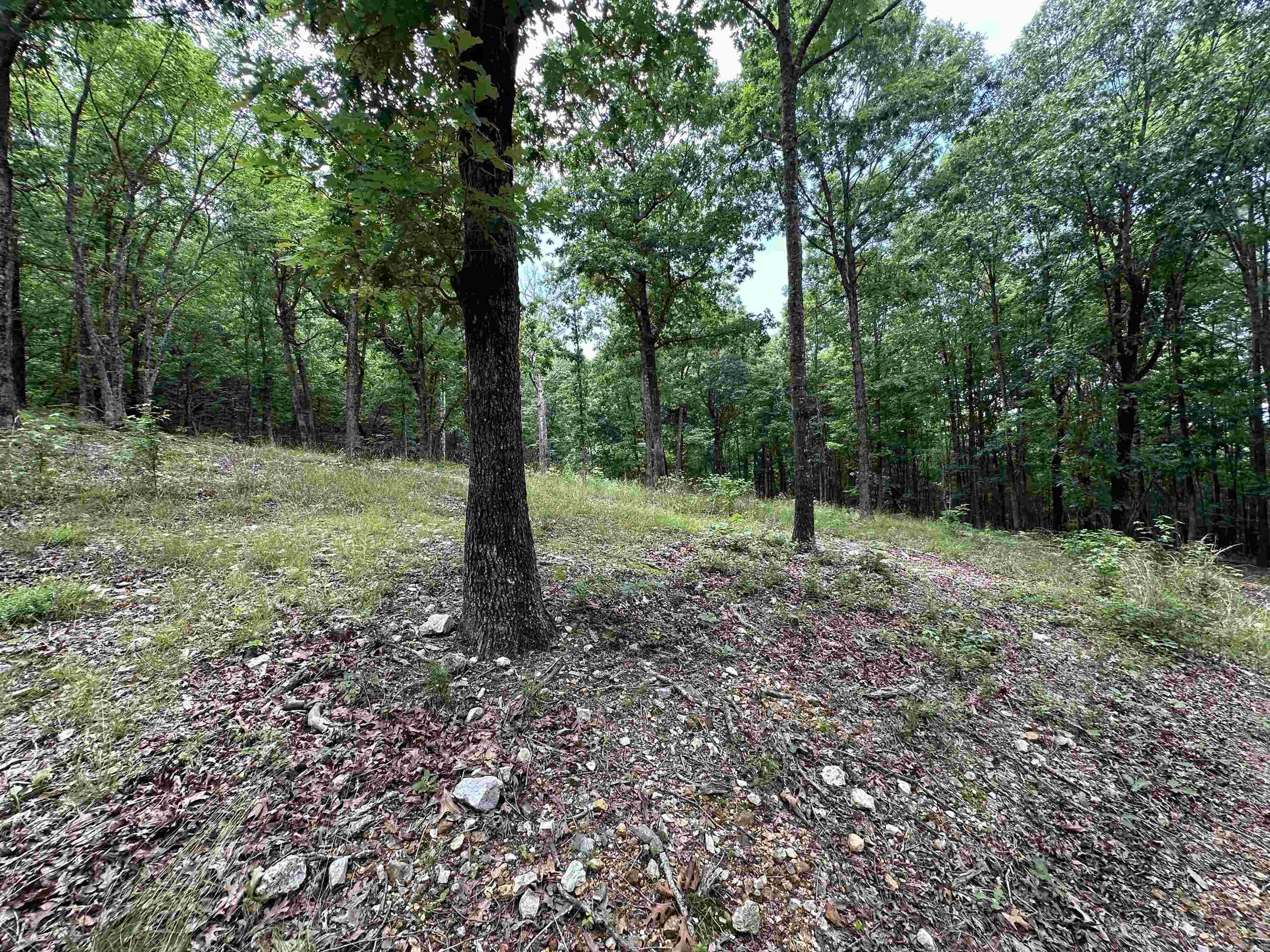 TBD  Timber Ln  Mena, AR