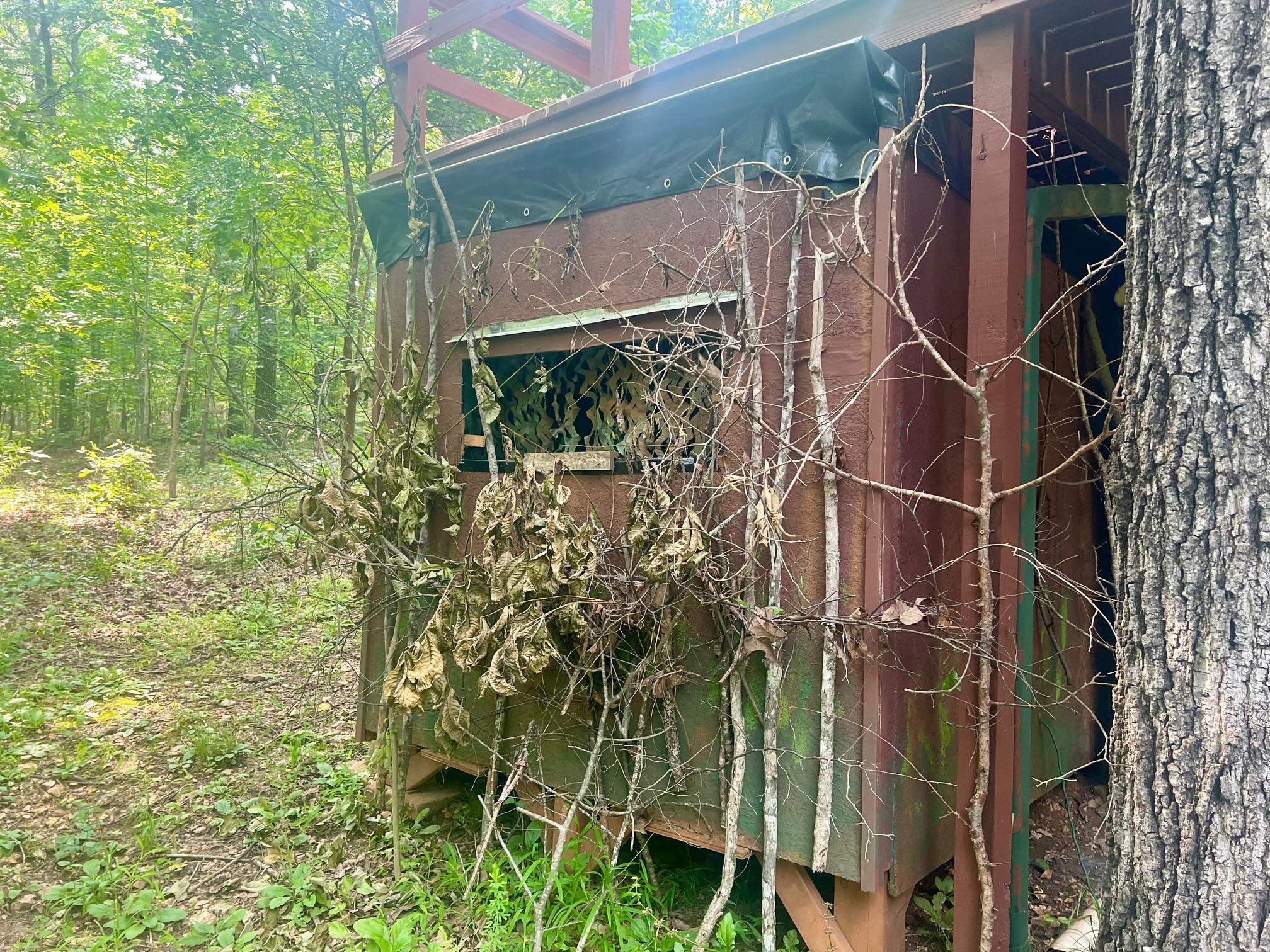 8601  Nine Mile Ridge  Hardy, AR