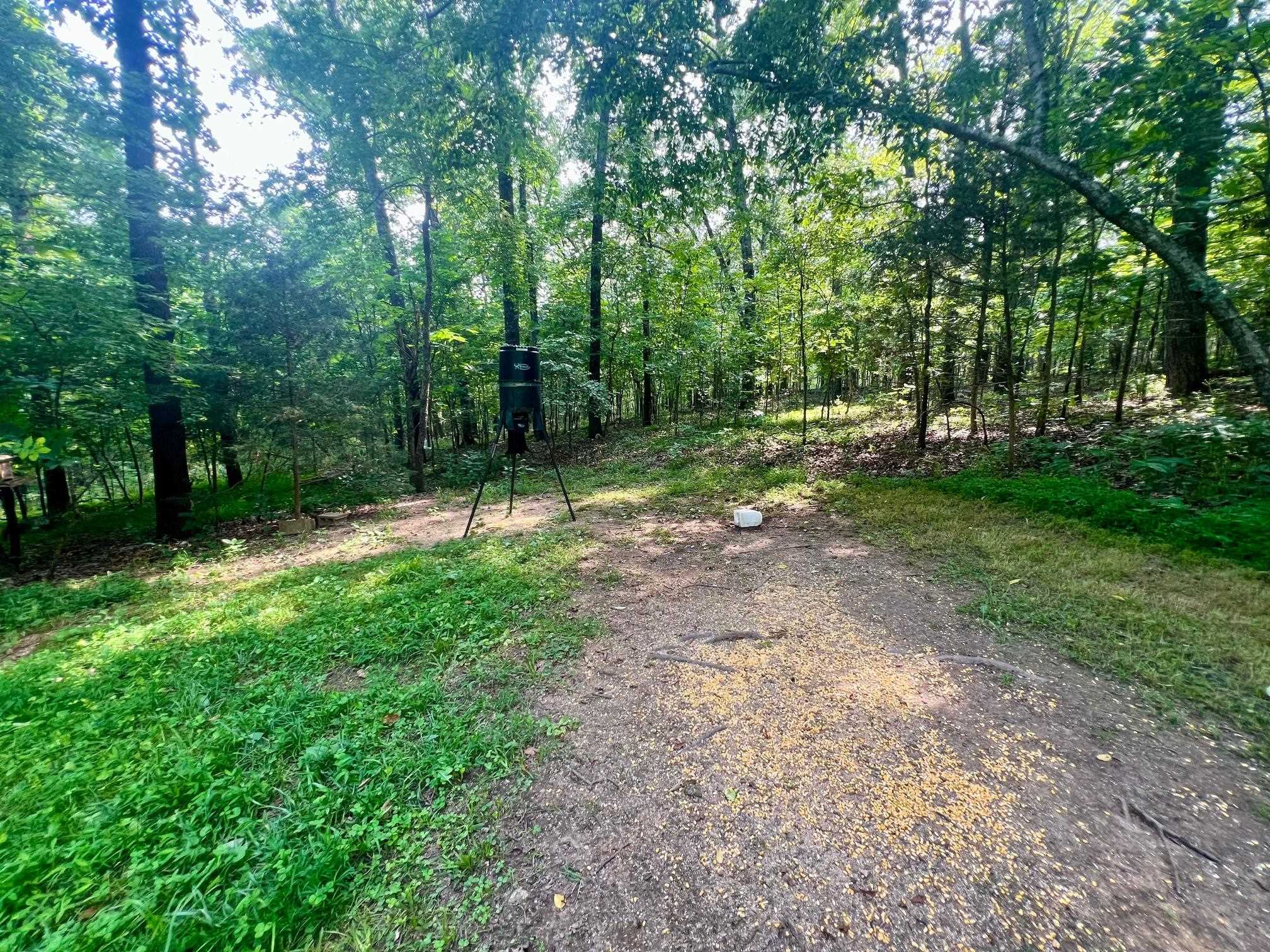 8601  Nine Mile Ridge  Hardy, AR
