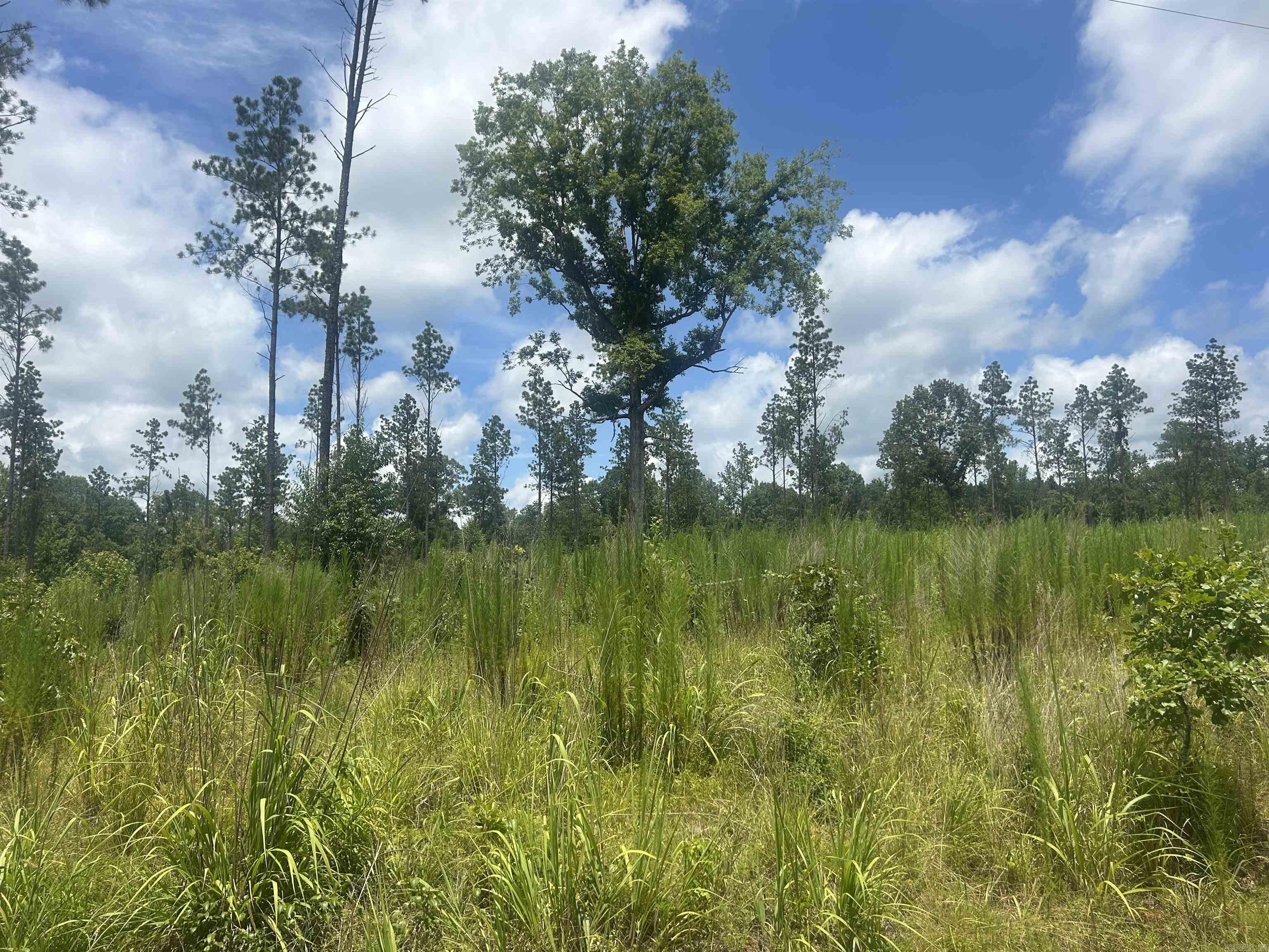 0 Grant 433  Sheridan, AR