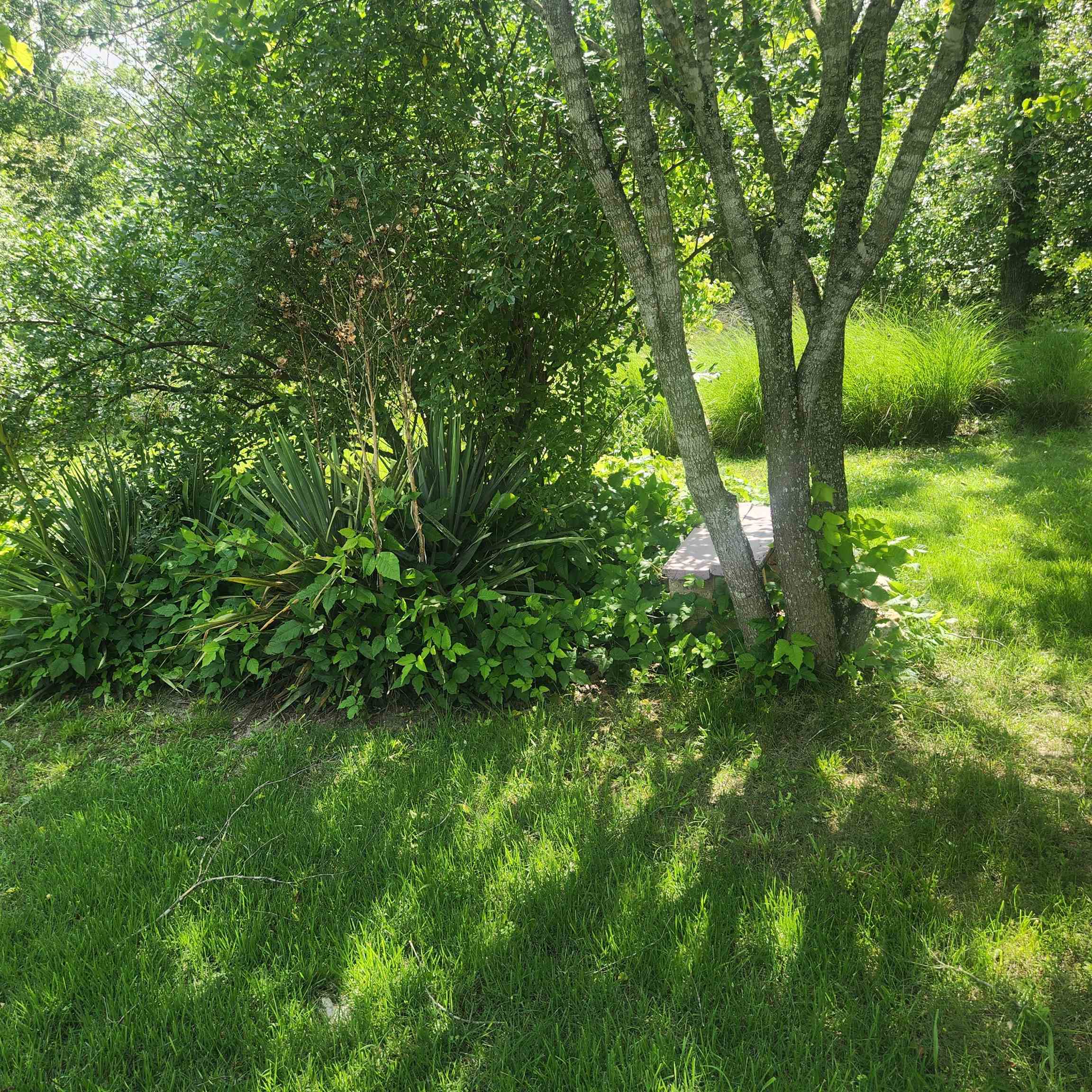 63  Tablerock  Evening Shade, AR