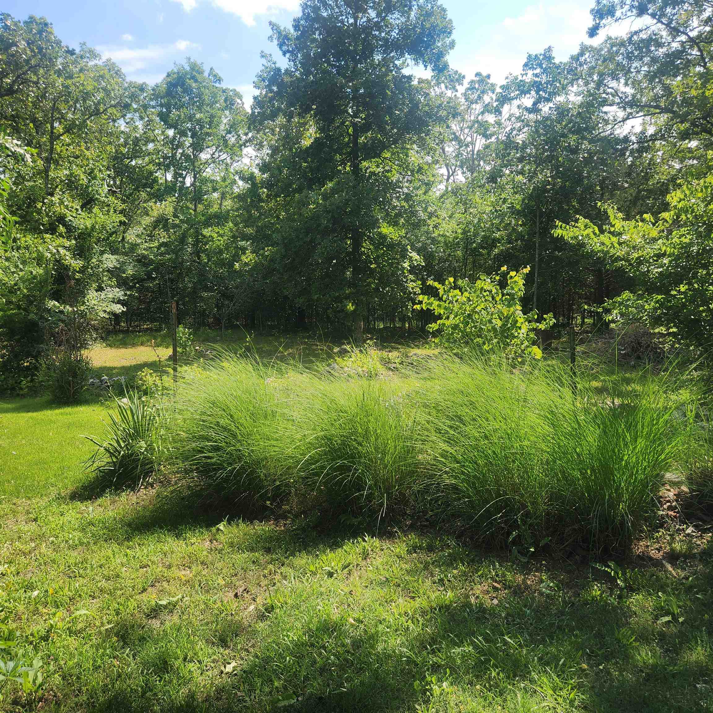 63  Tablerock  Evening Shade, AR
