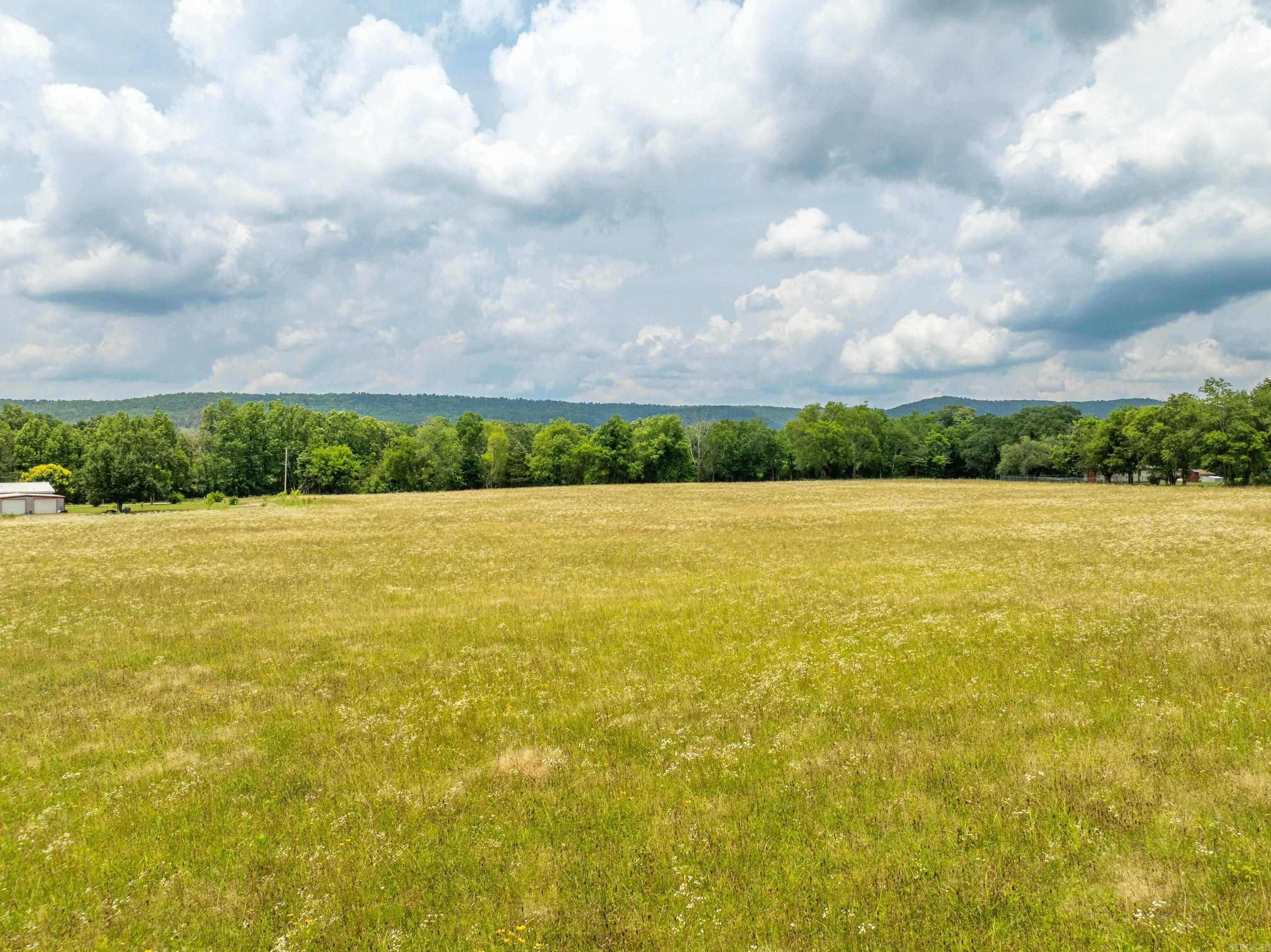 159  Gumtree  Mountain Pine, AR