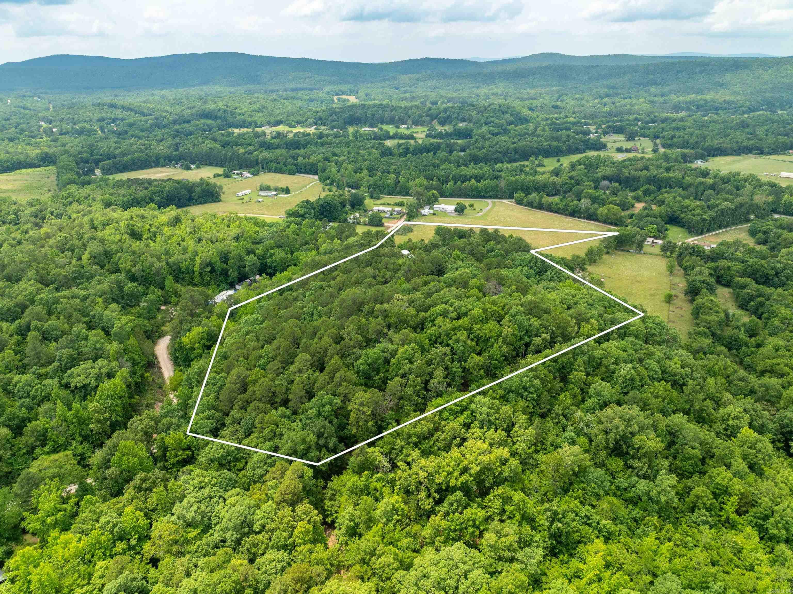 159  Gumtree  Mountain Pine, AR