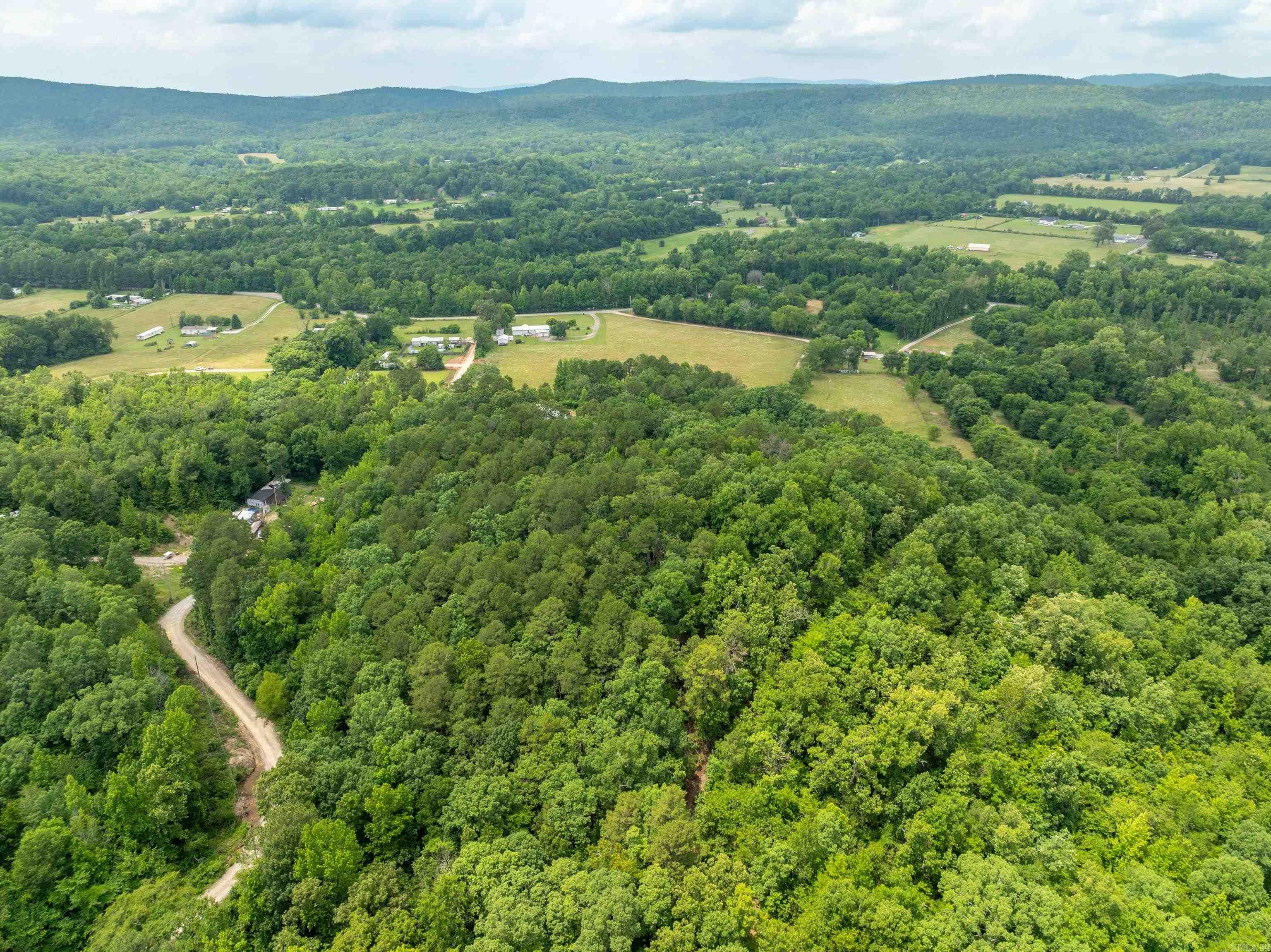 159  Gumtree  Mountain Pine, AR