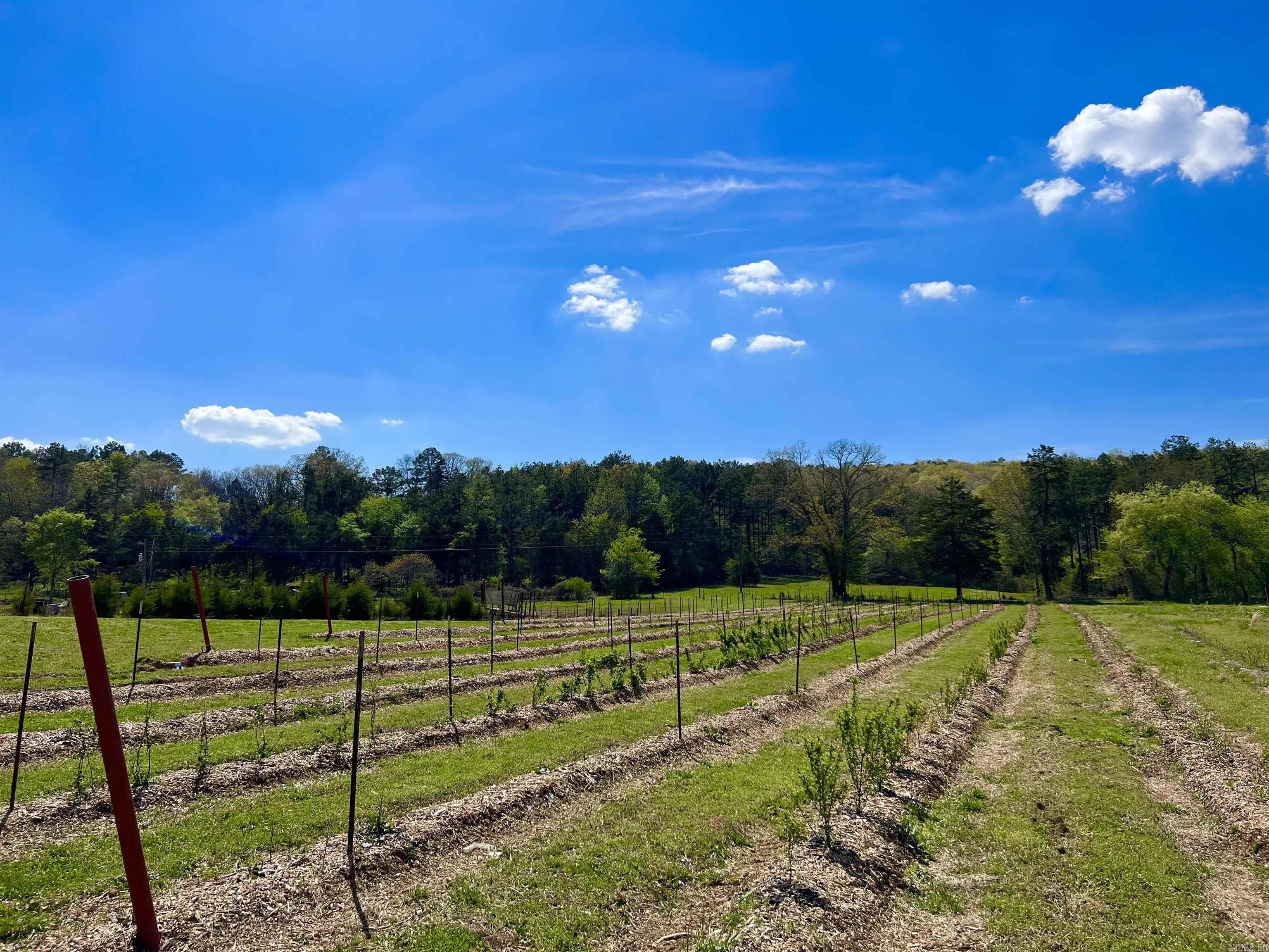1112  Silver Rock Road  Shirley, AR